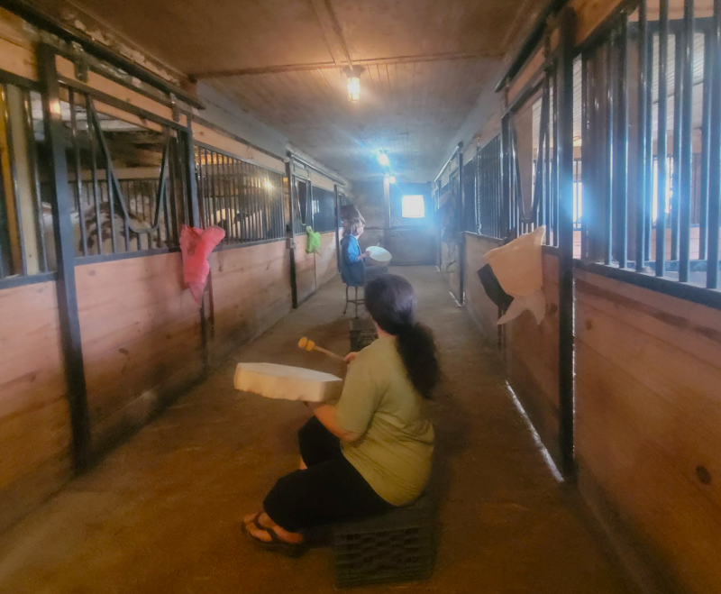 People drumming in the stable with horses