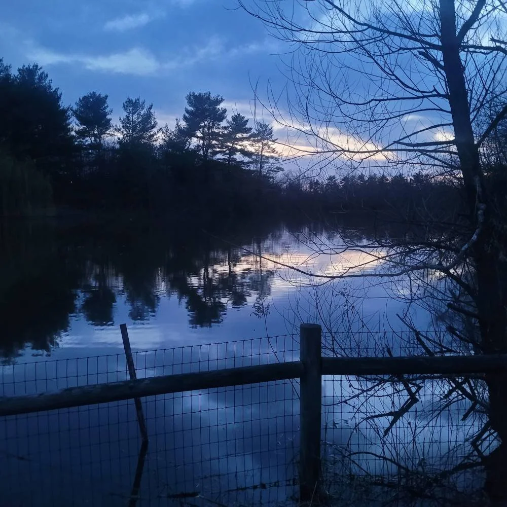 Pond at night under brilliant dark blue sky