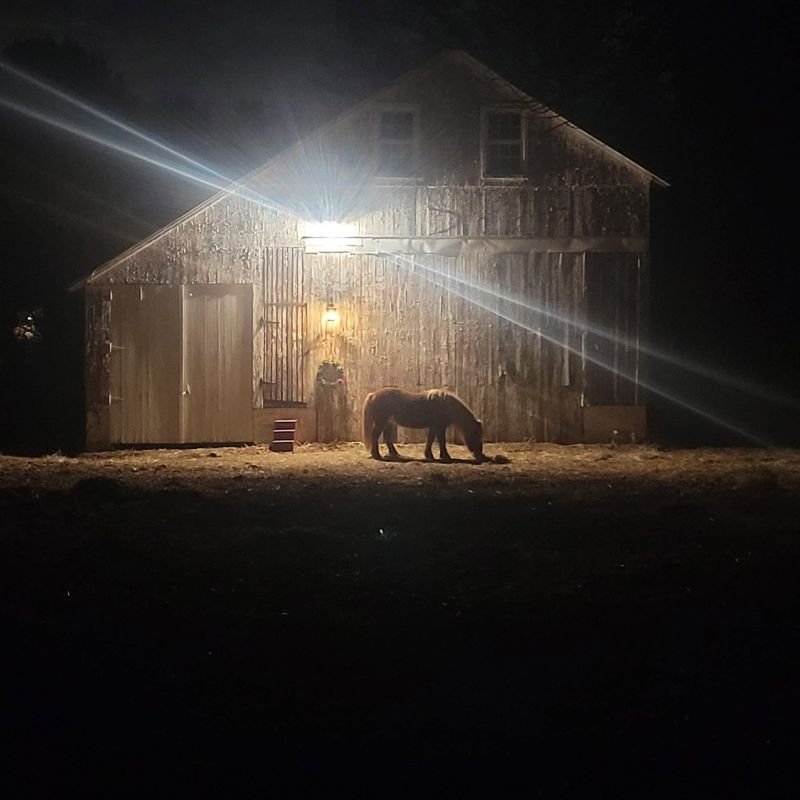 Horse grazing at night under a large outdoor light on a stone barn