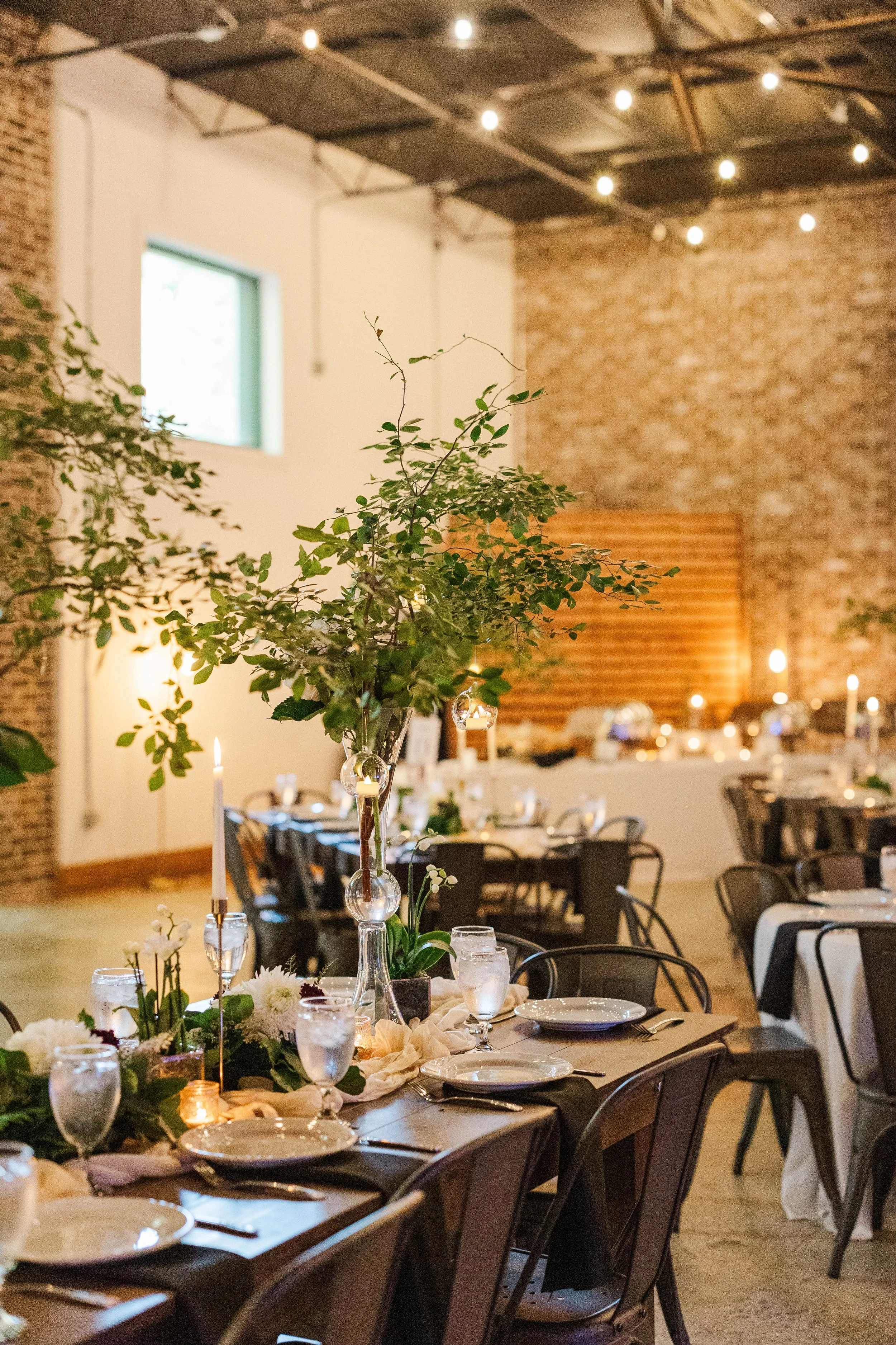 Takacs-Reception-10.jpg