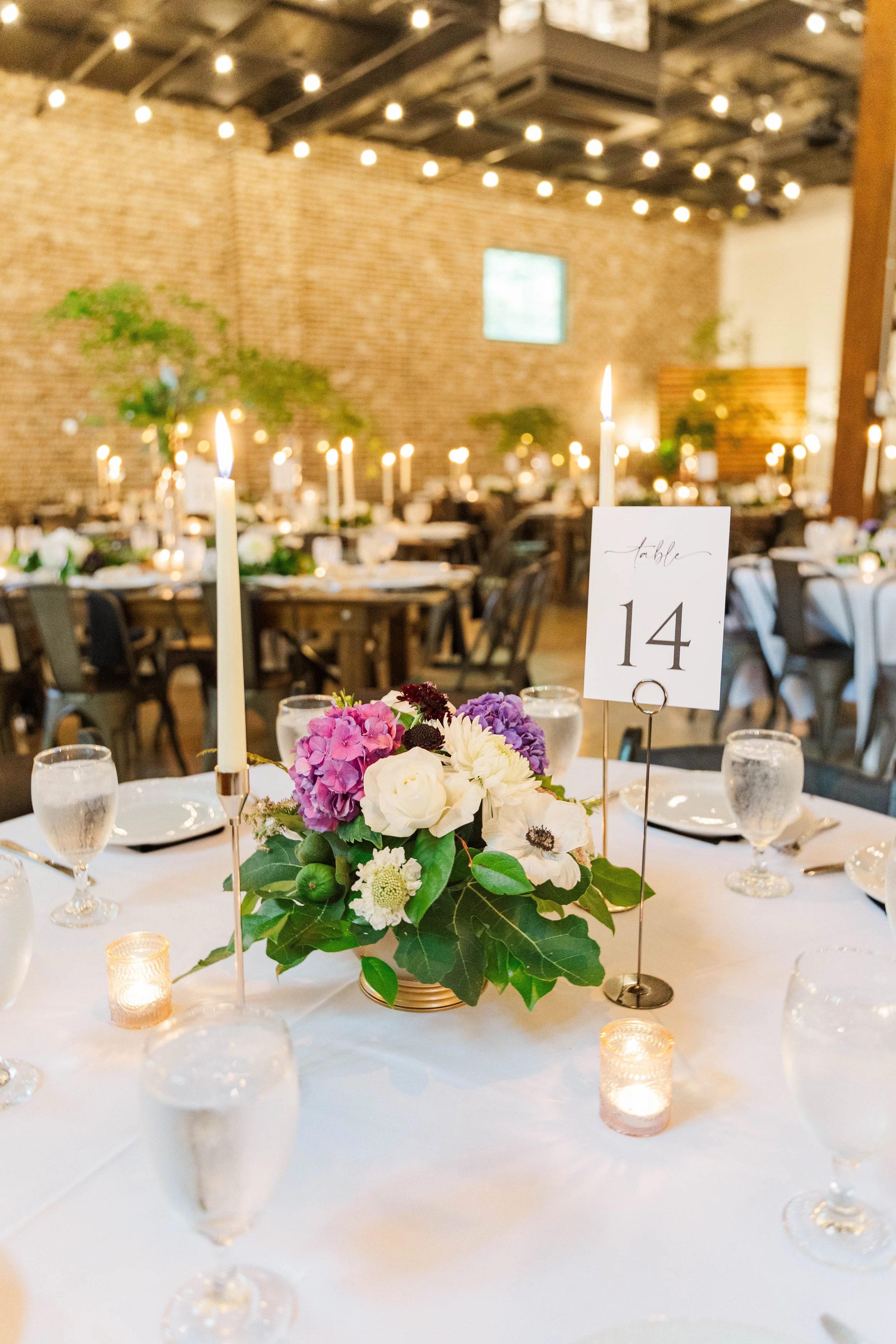 Takacs-Reception-35-2.jpg