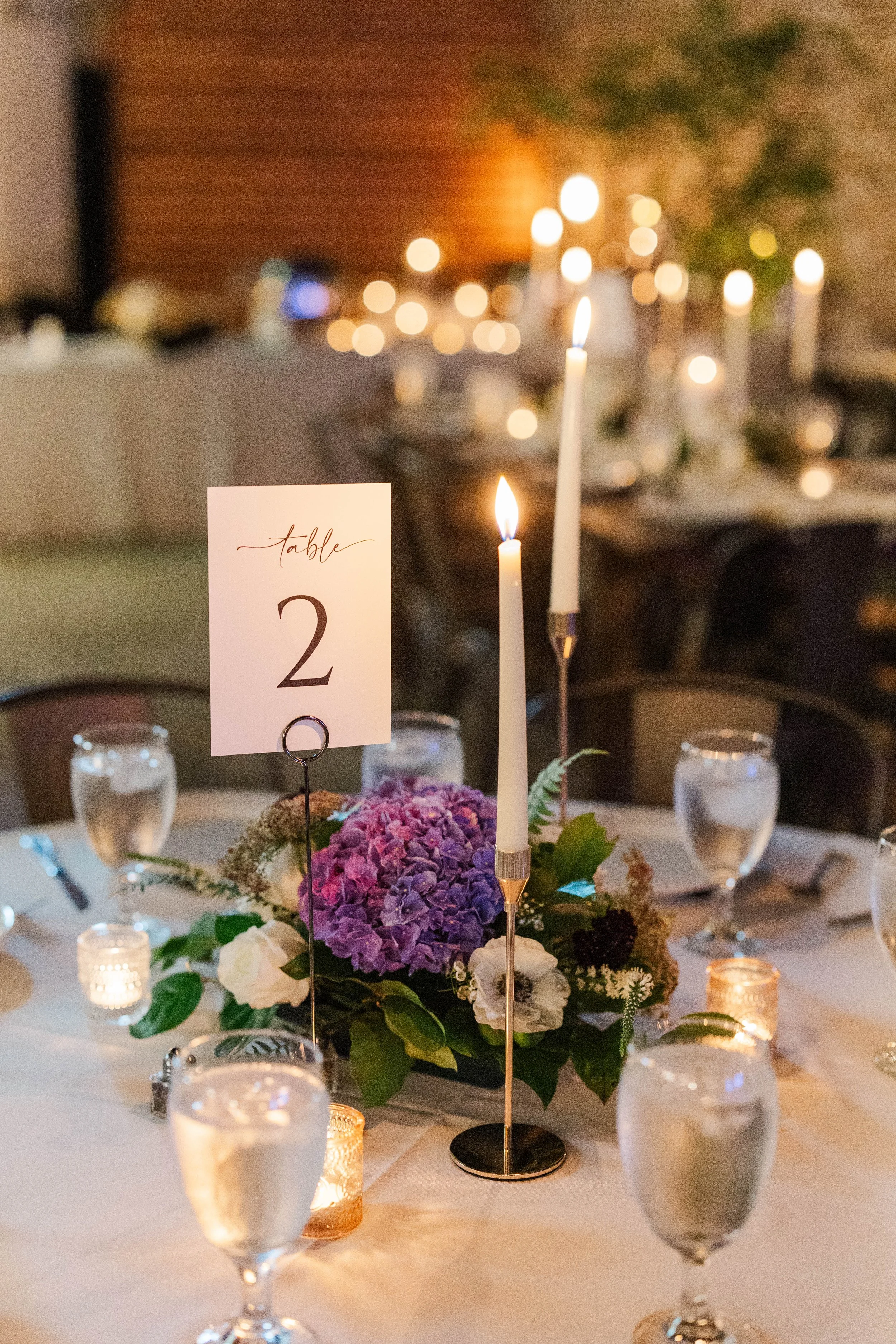 Takacs-Reception-6.jpg
