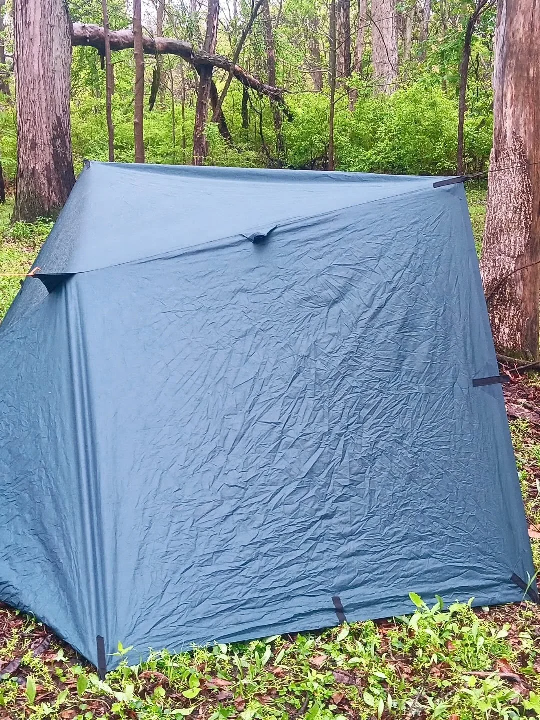Blue camping tent set up among trees in a forest with green foliage.