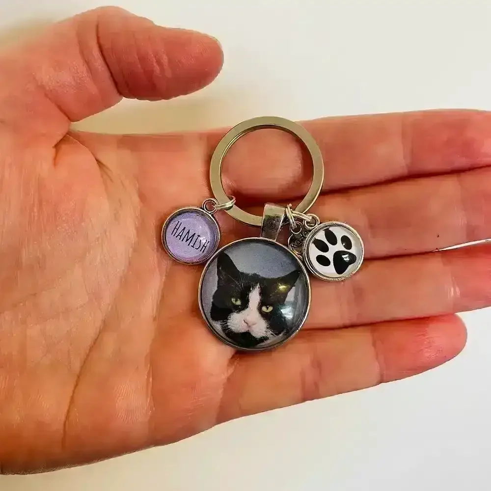 Pet-keepsake-cat-hamish.webp