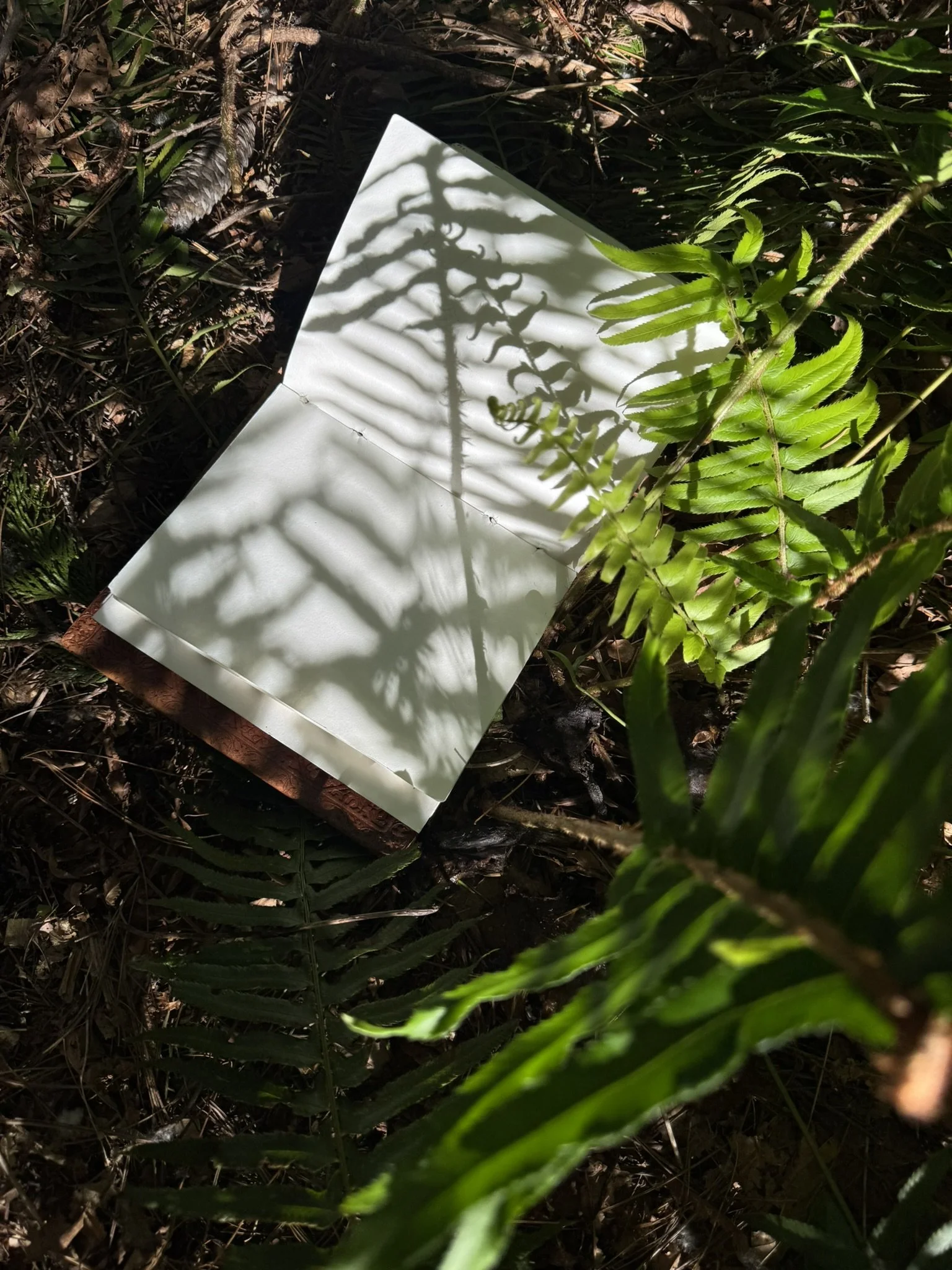An open book or notebook on the ground beneath green plants and leaves, with shadow patterns cast on its pages from the surrounding foliage.