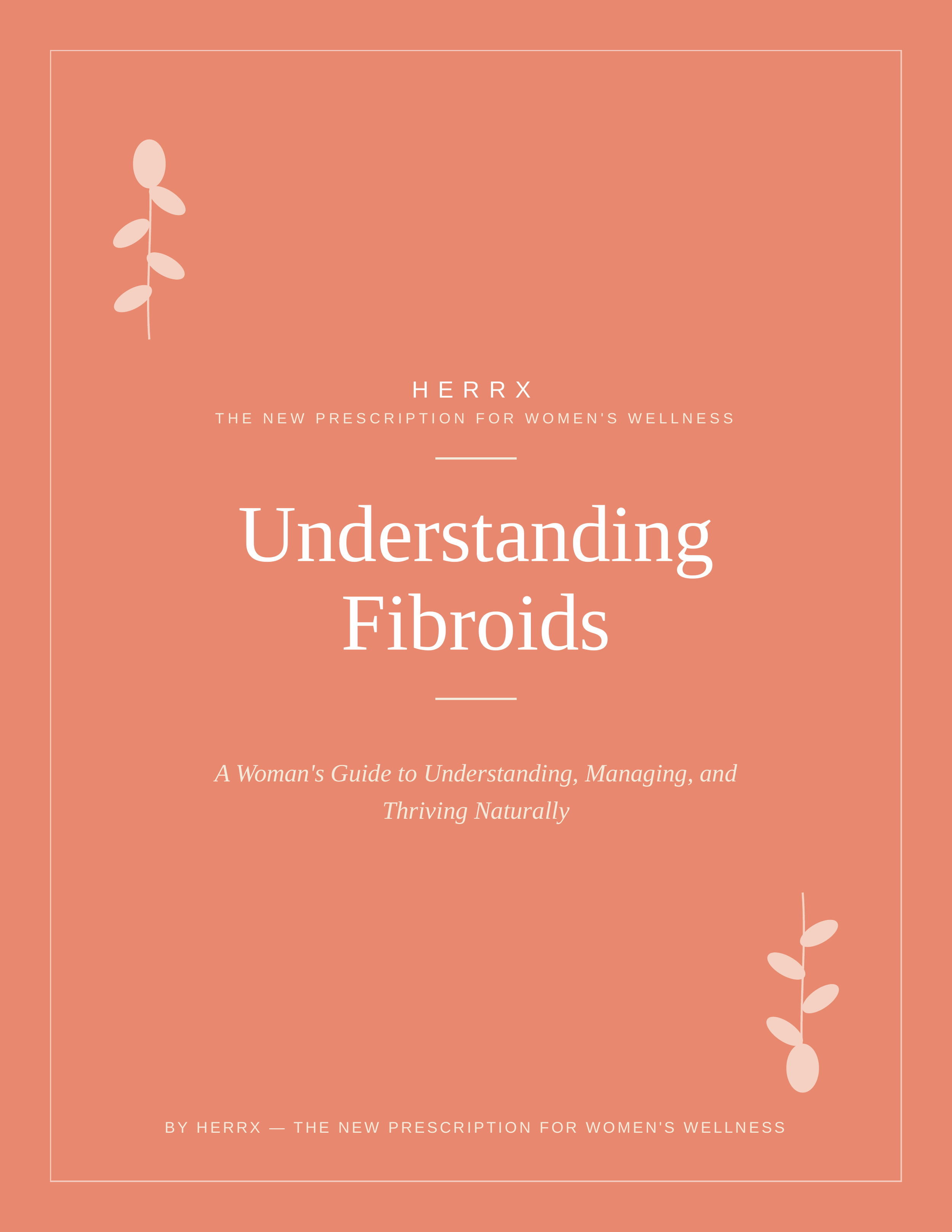 Understanding Fibroids