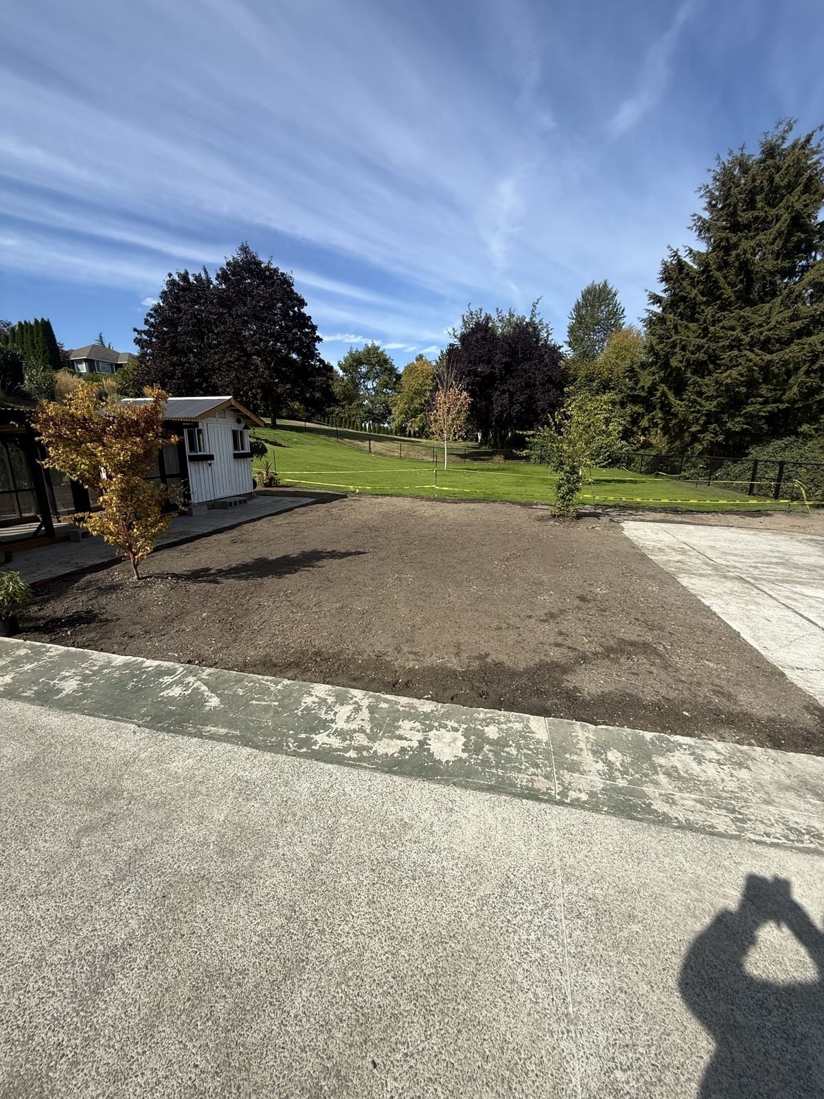 Newly planted trees and prepared soil where a sport court was removed in Snohomish WA
