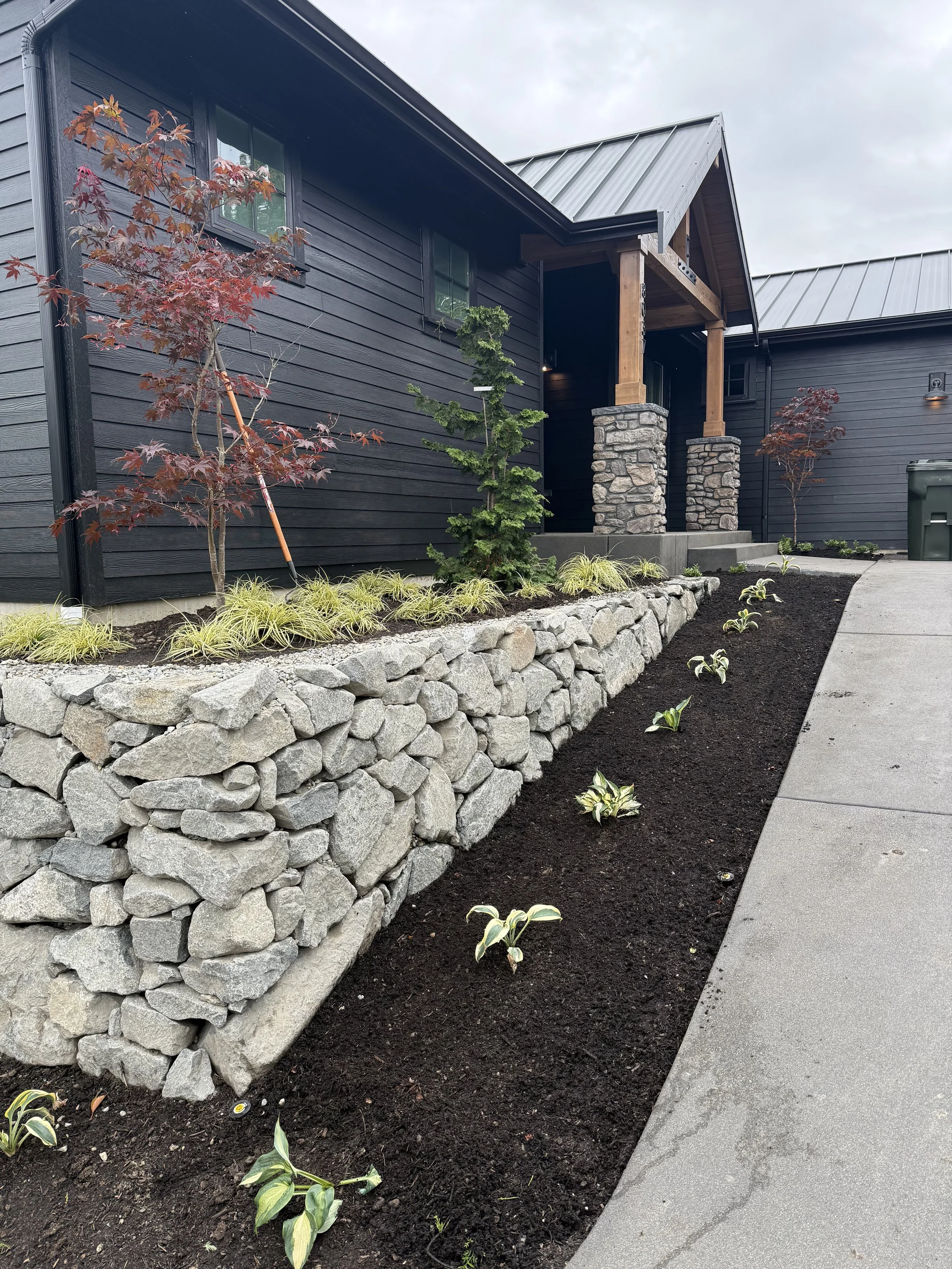 A landscaped yard in front of a modern dark blue house with stone pillars. There are young trees, including a red maple and a green conifer, and low-growing plants along a stone border, with a cement walkway on the right.