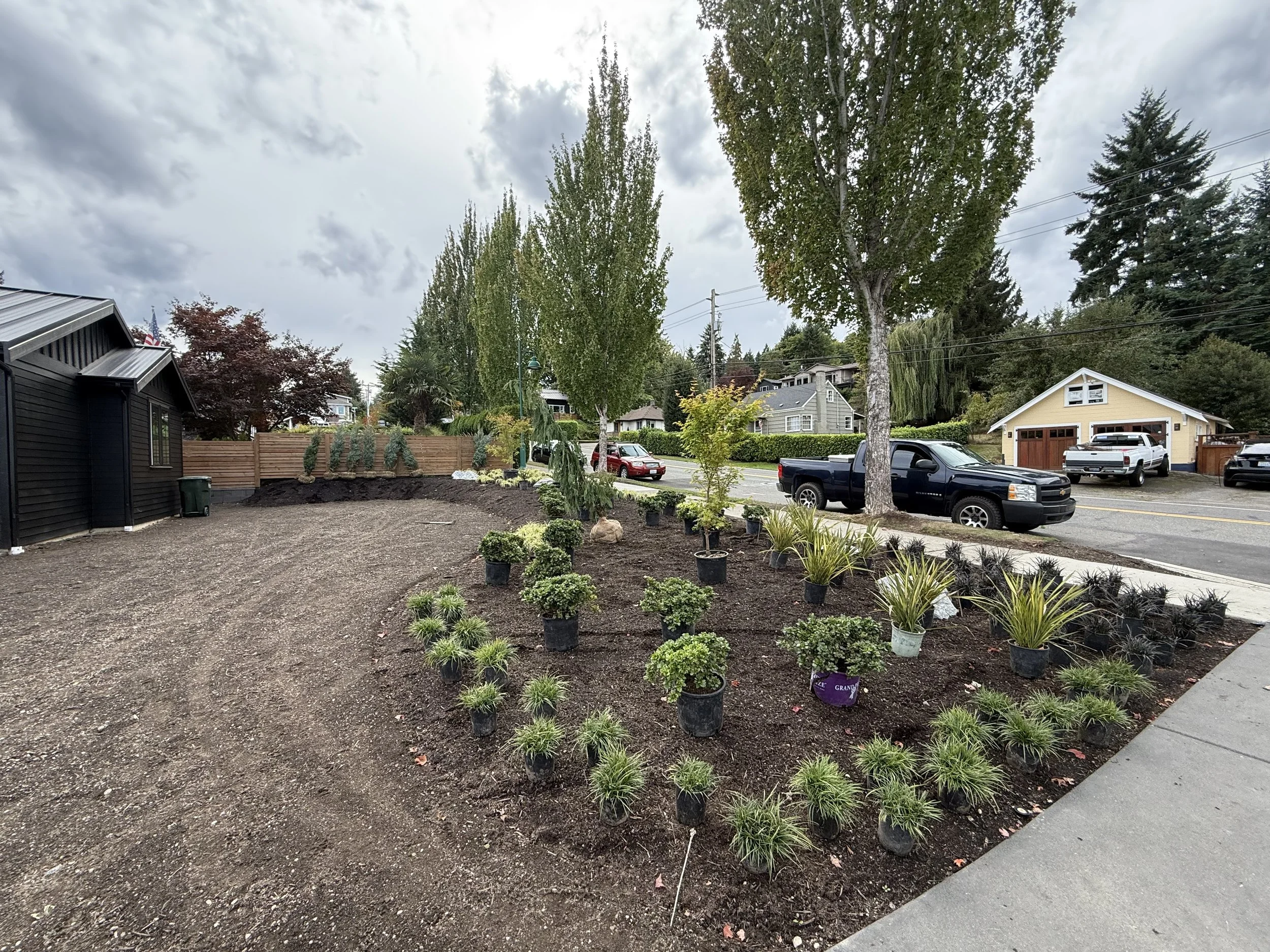 A residential neighborhood street with a small garden in the foreground, young potted plants, tall trees, and houses visible in the background.