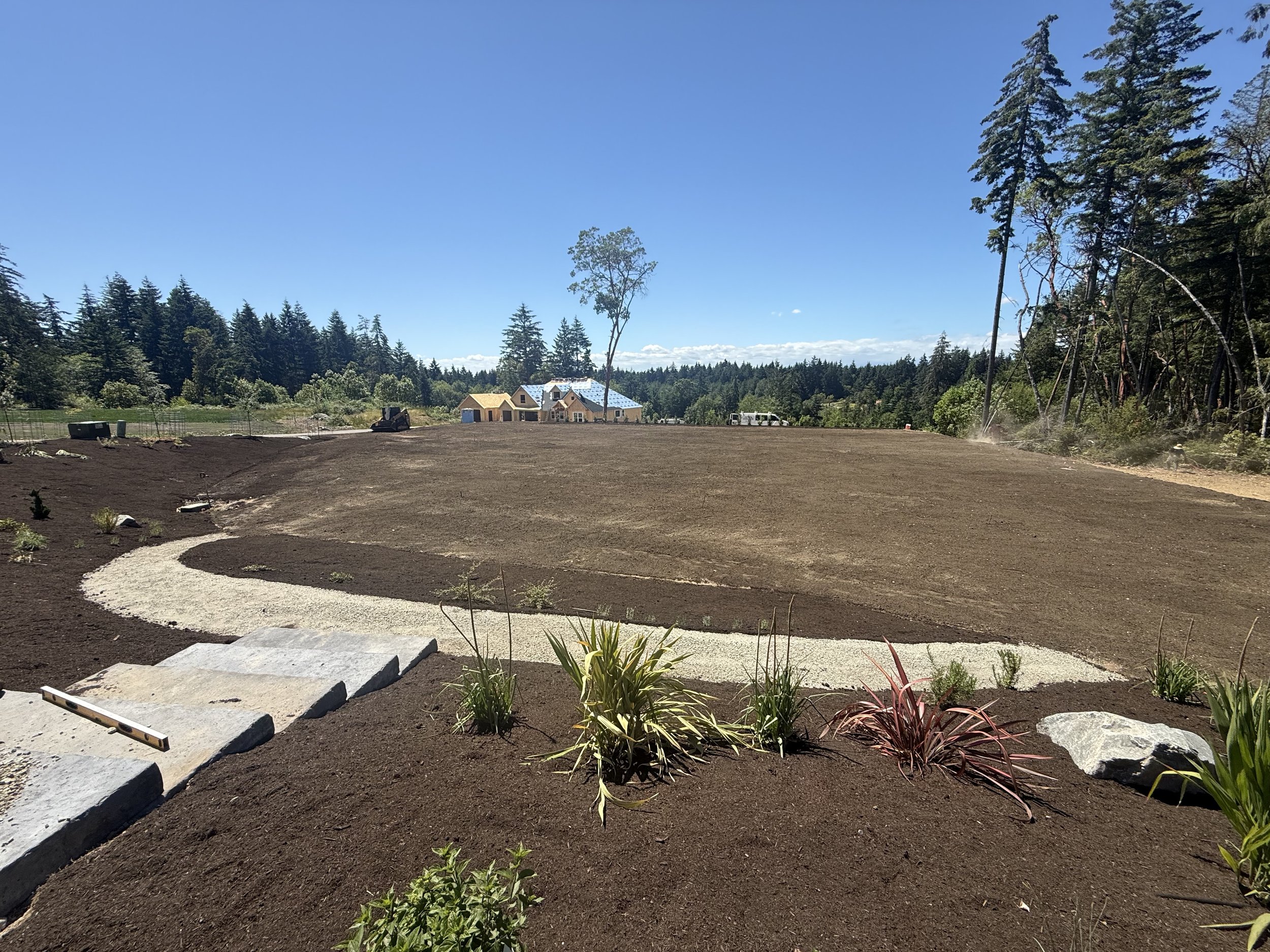 An under-construction house in a rural area with a large, cleared dirt yard, surrounded by woods, with some new plants and a concrete pathway.
