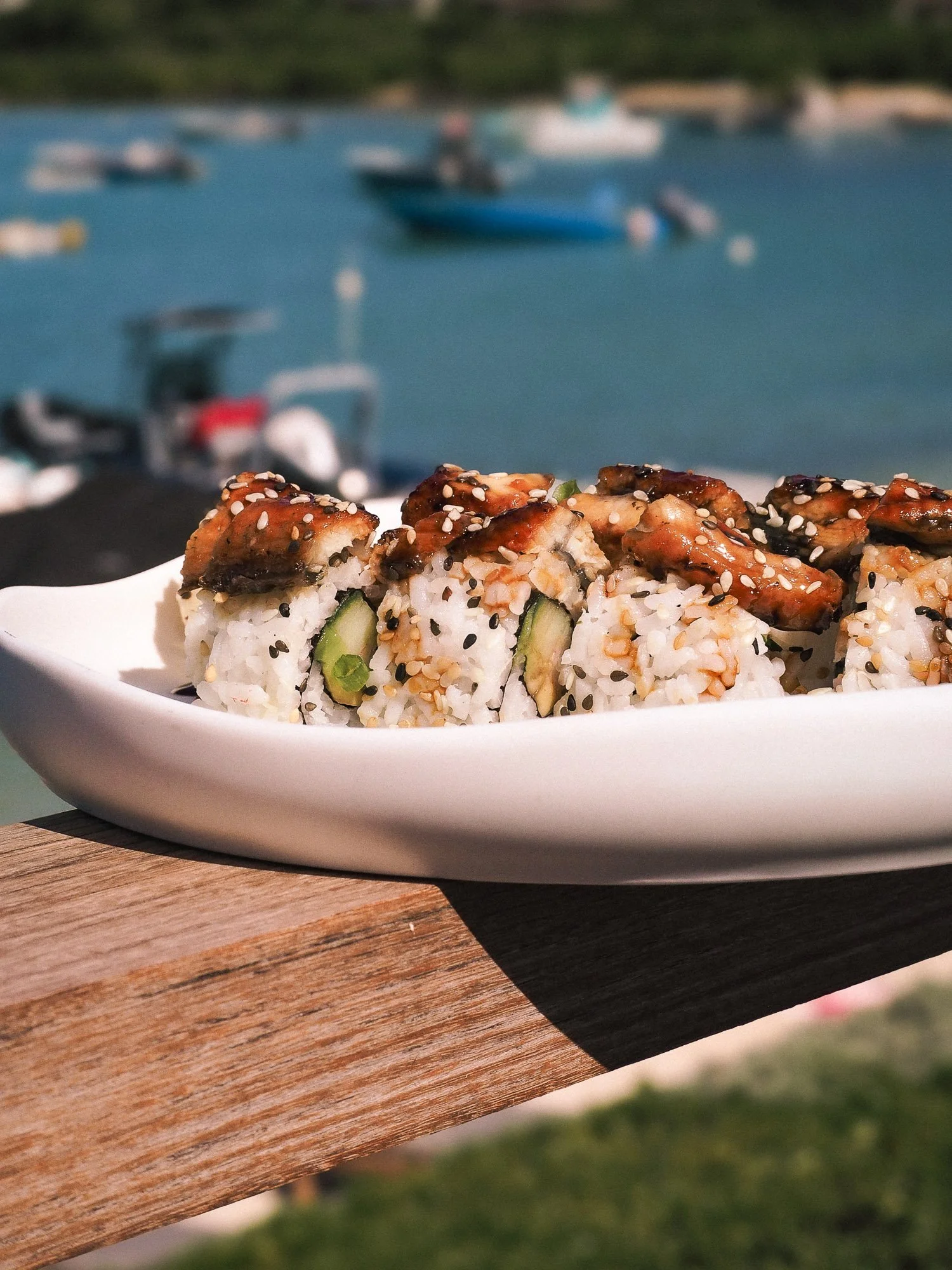 Close-up of a white plate of sushi rolls topped with eel, sesame seeds, and green onion, with a blurred watercraft and boats in the background on a body of water.