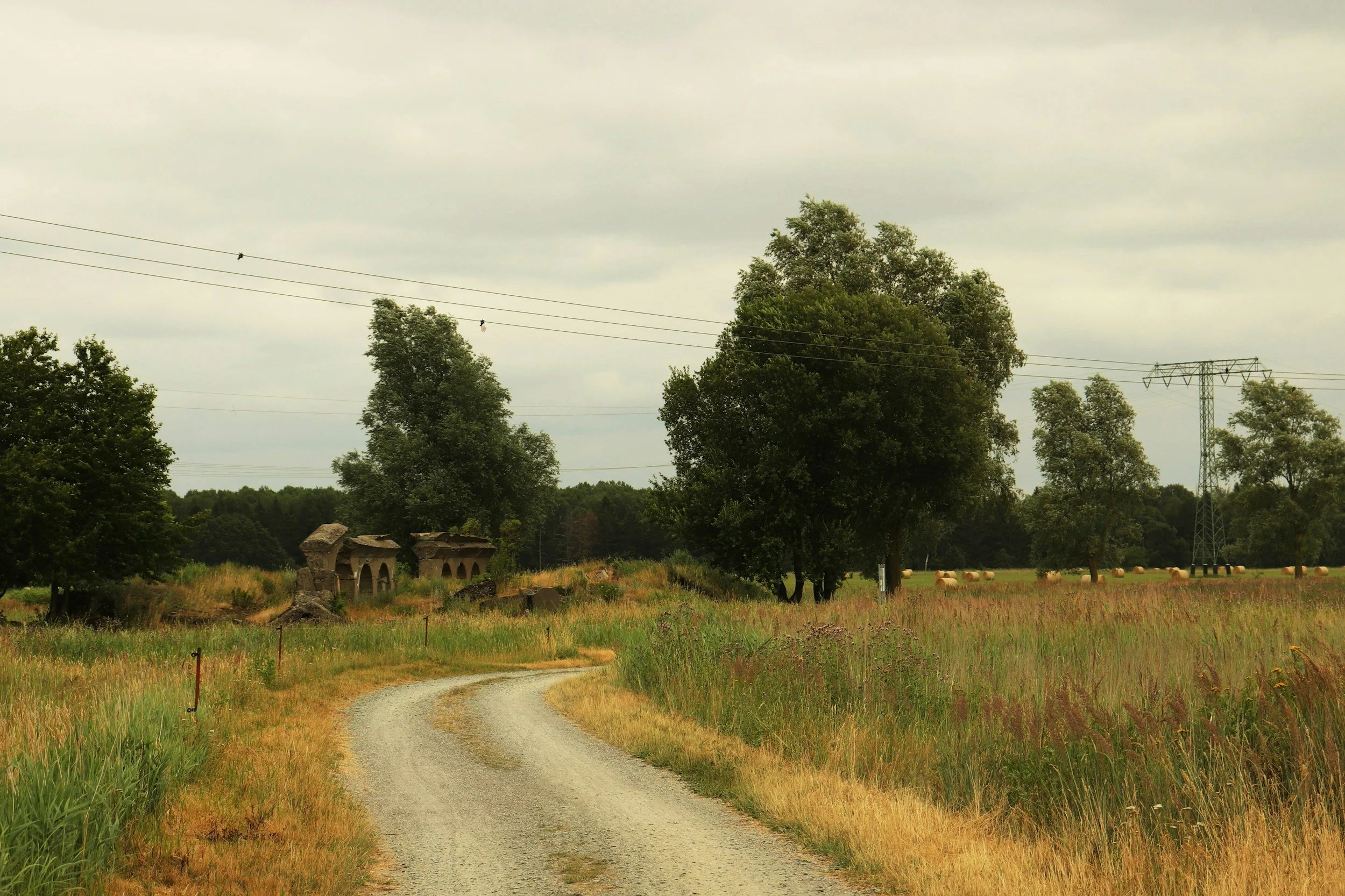 Rural Georgia