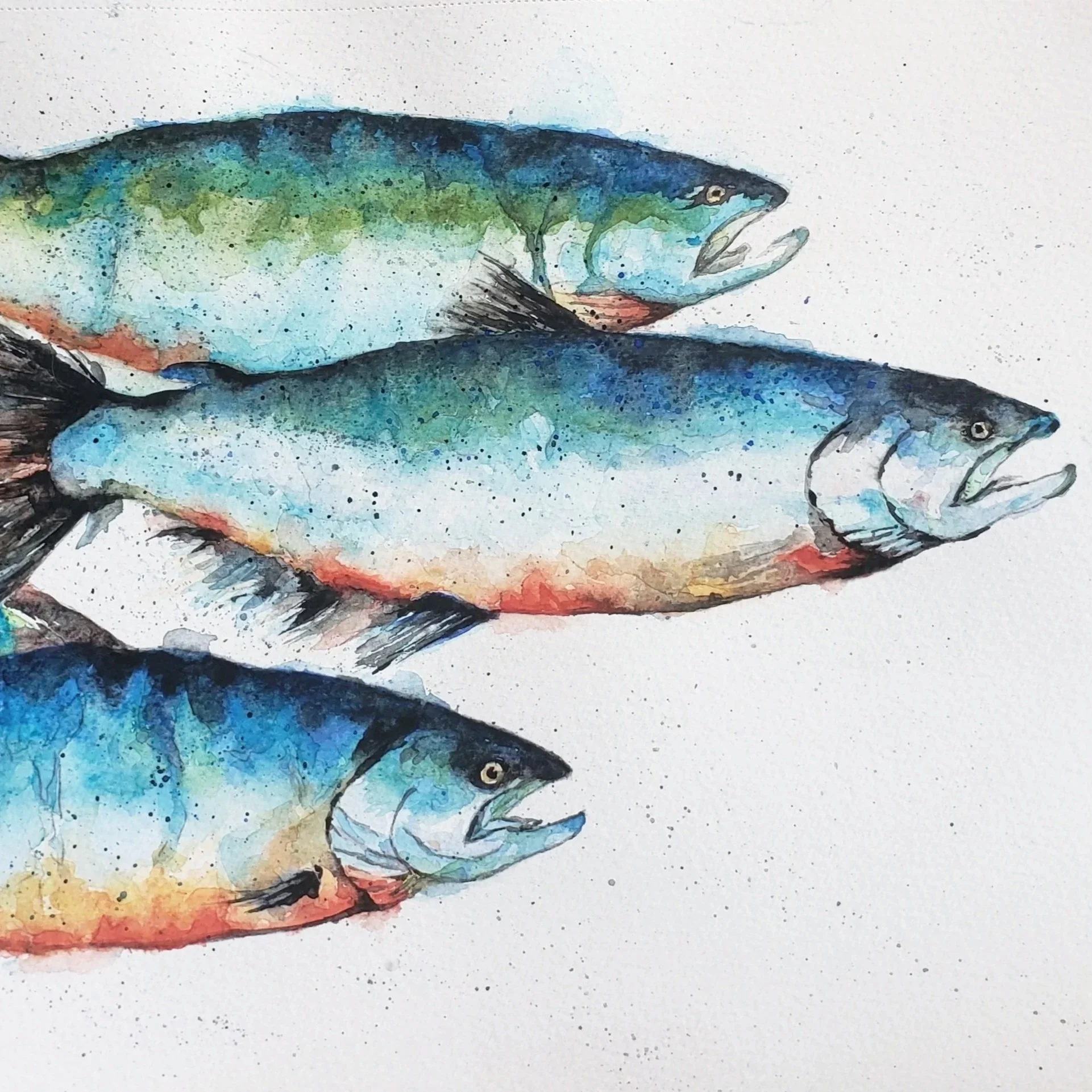 fish.jpg