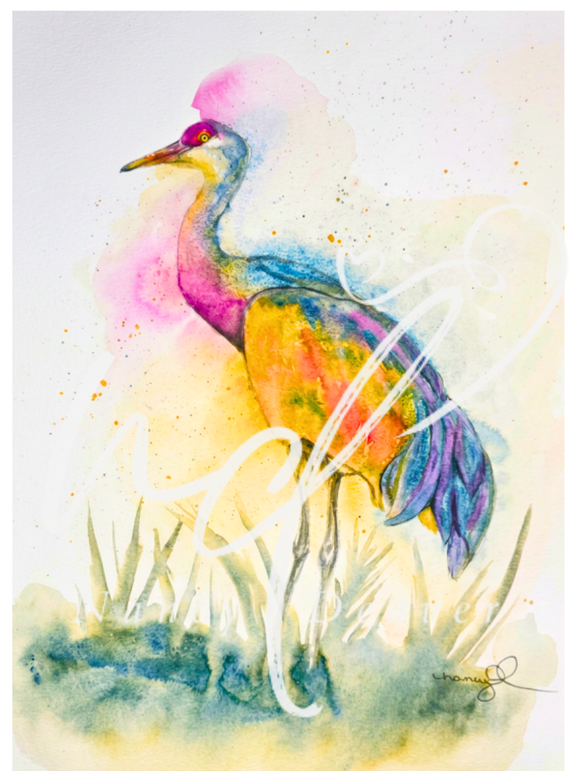 Princess Crane