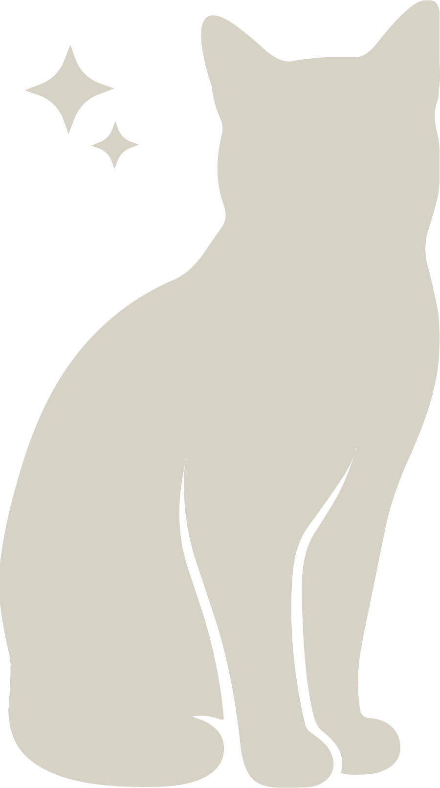 Silhouette of a sitting cat with two sparkle stars near its face