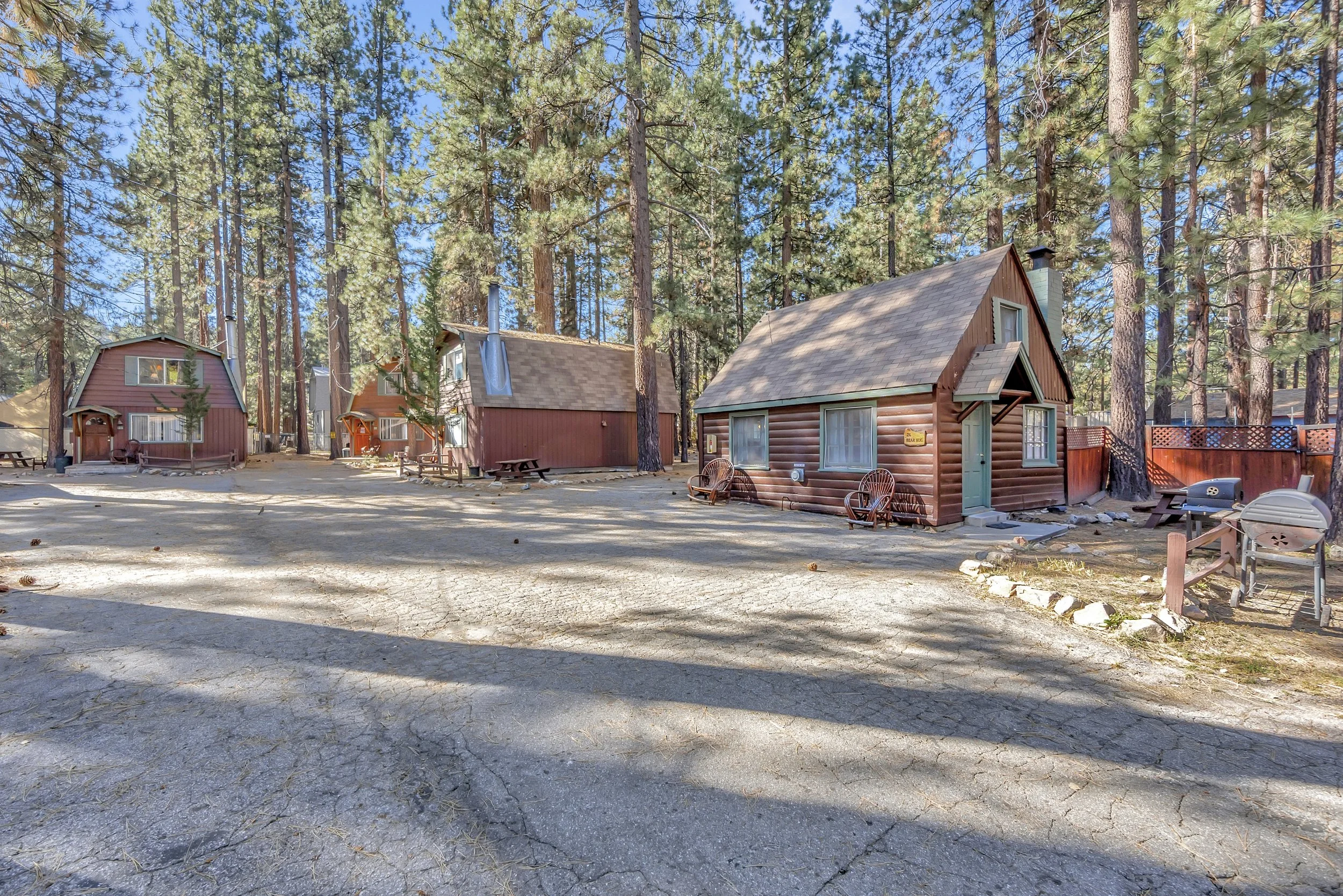 Group of small wooden cabins surrounded by tall pine trees on a sunny day.