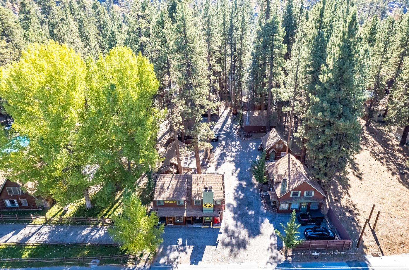 Aerial view of a forested area with several small houses, some with visible signs, and tall trees casting shadows, in a mountainous setting.