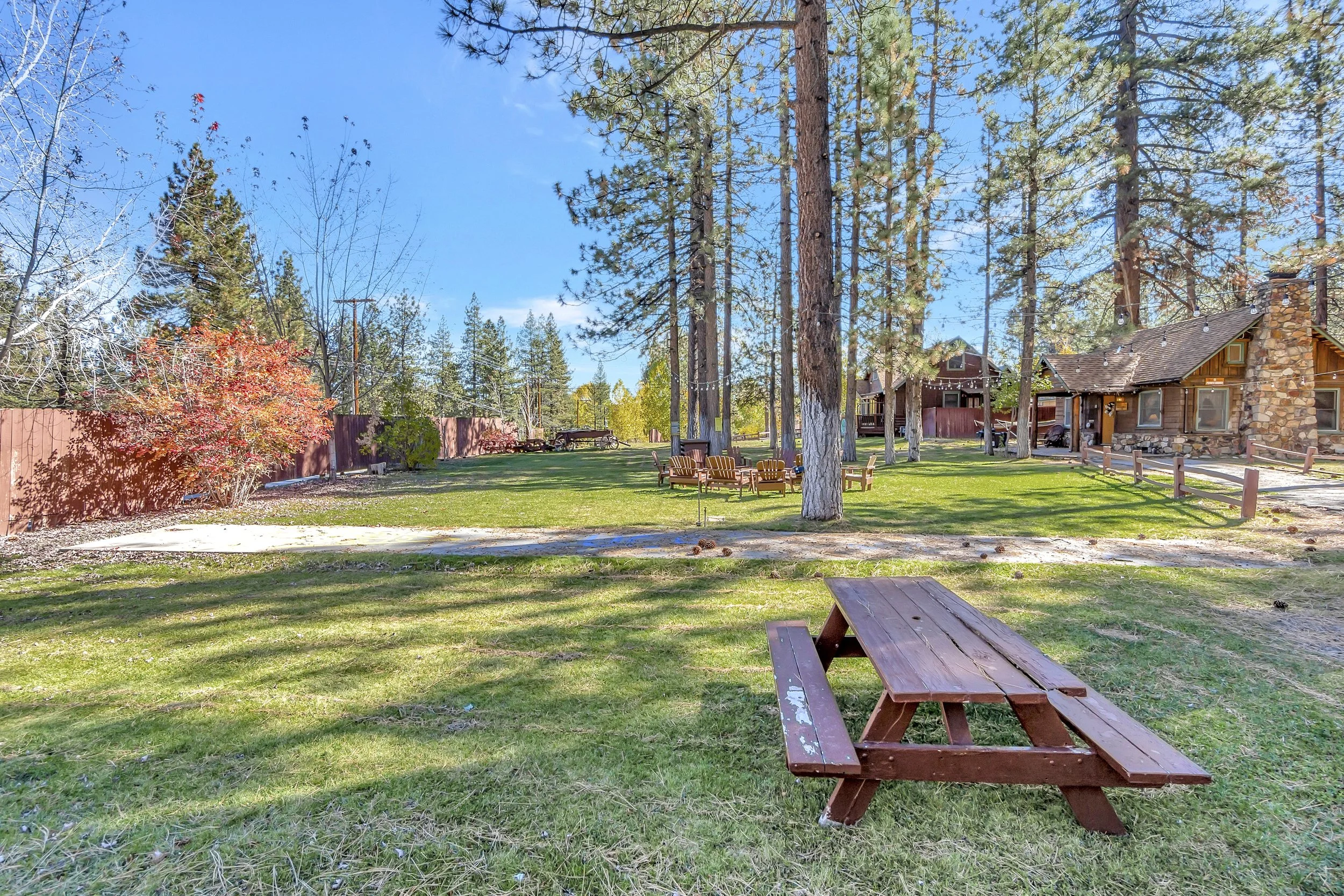 A backyard with green grass, tall pine trees, a wooden house, and a fire pit area with wooden chairs, under a clear blue sky.