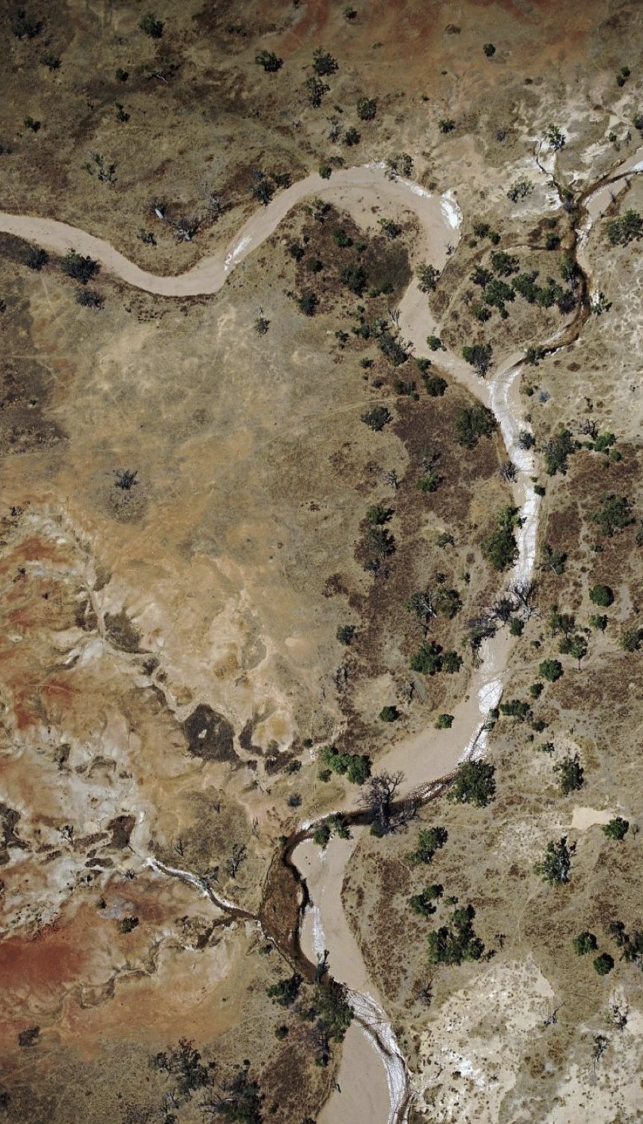 An aerial view of a dry, winding river flowing through a landscape with sparse trees and dry terrain.
