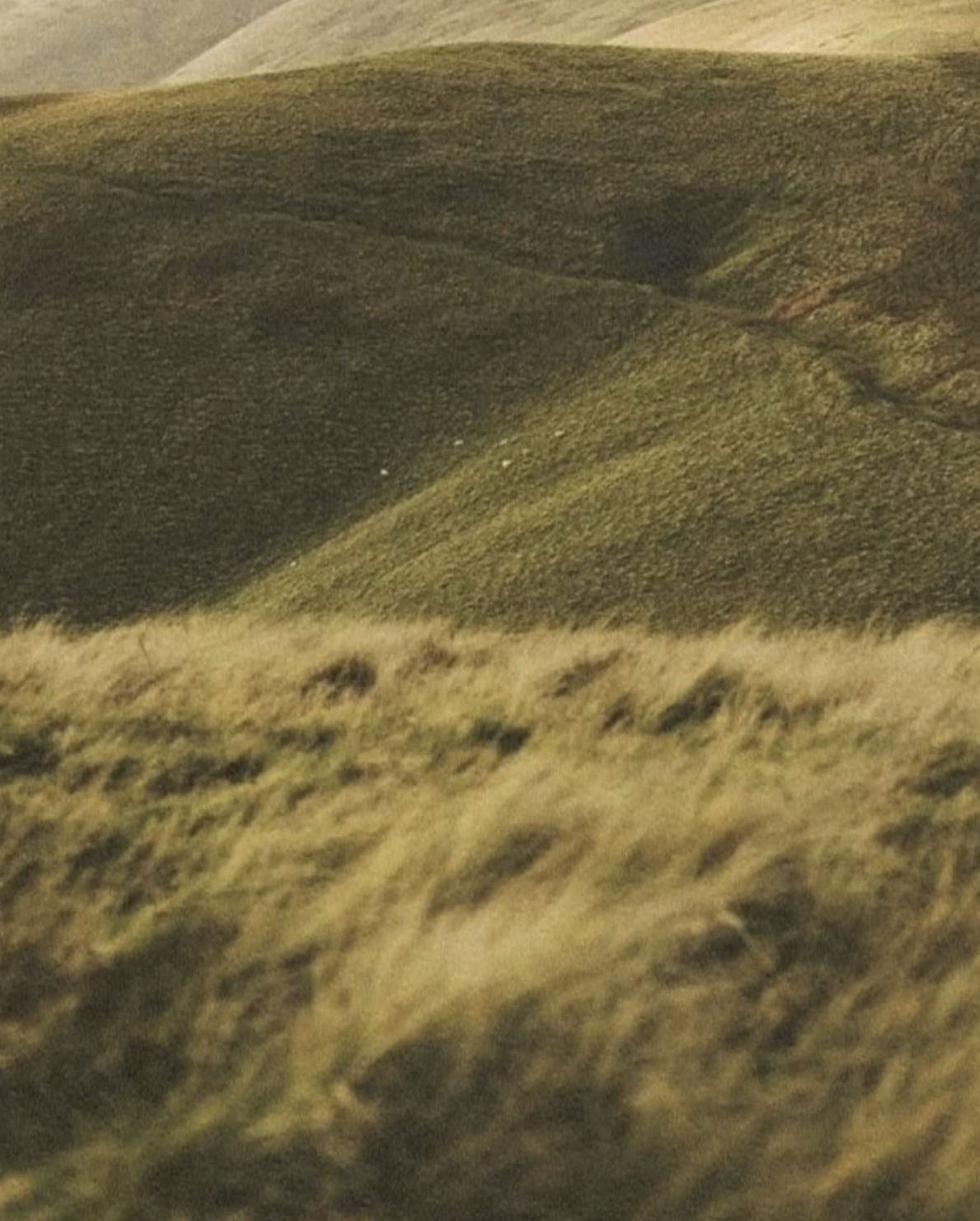 Rolling green hills with patches of darker grass and some small shrubs, under a cloudy sky.