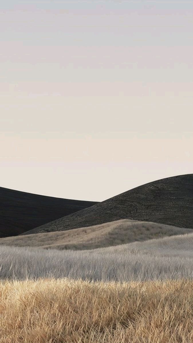 A landscape scene of rolling hills with dry grass in the foreground, transitioning from golden to gray, under a pale, gradient sky.