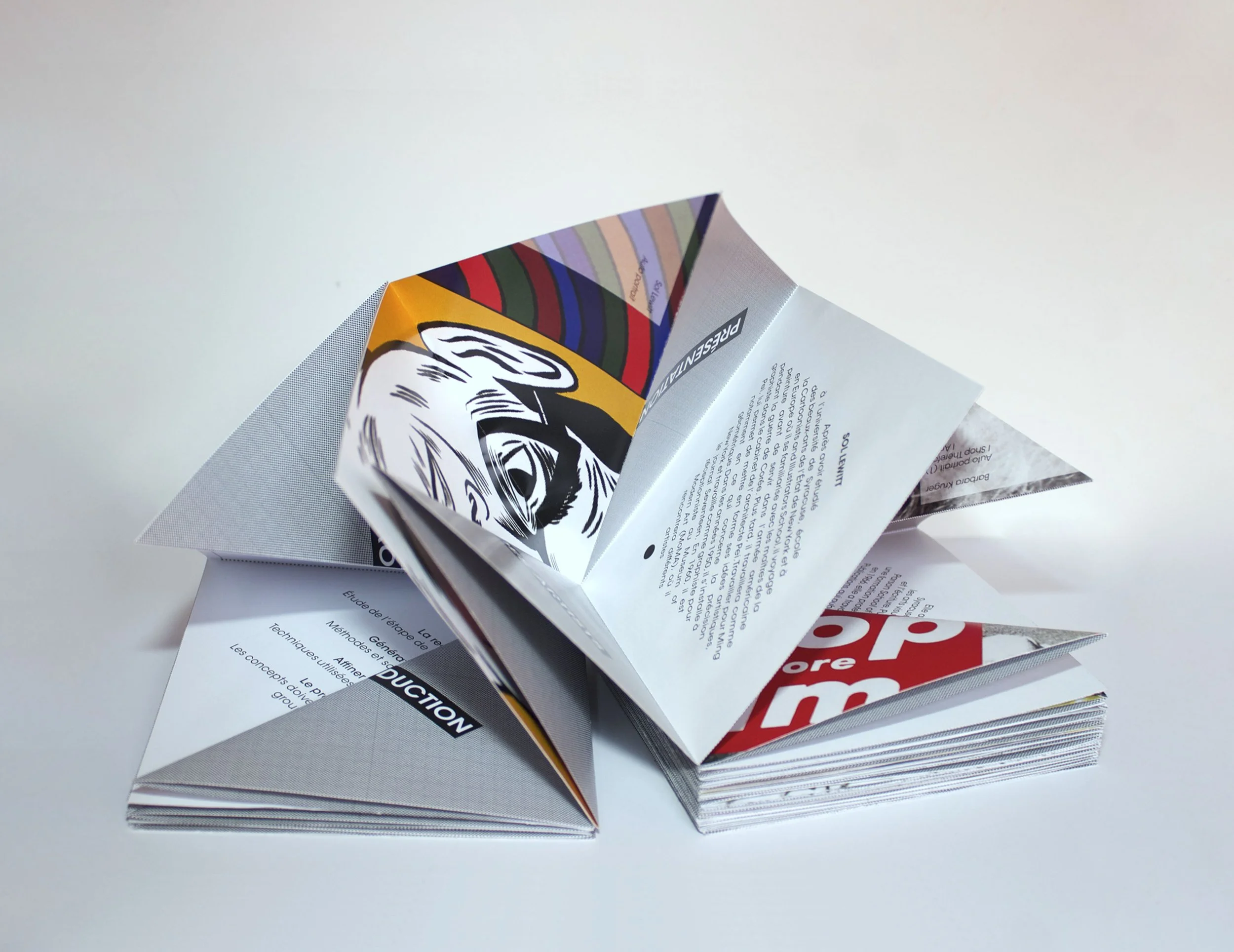 Open folded brochure displaying colorful graphics and text on a white background.