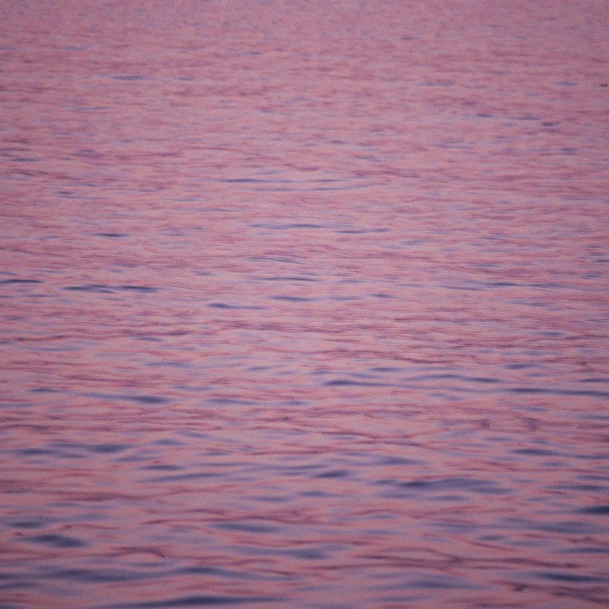 Shot of purple water during sunset