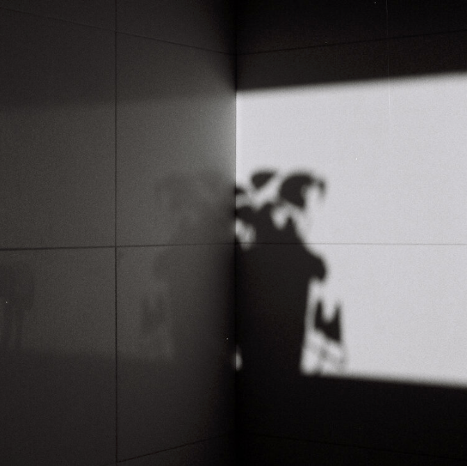 Flower pot shadow on the wall