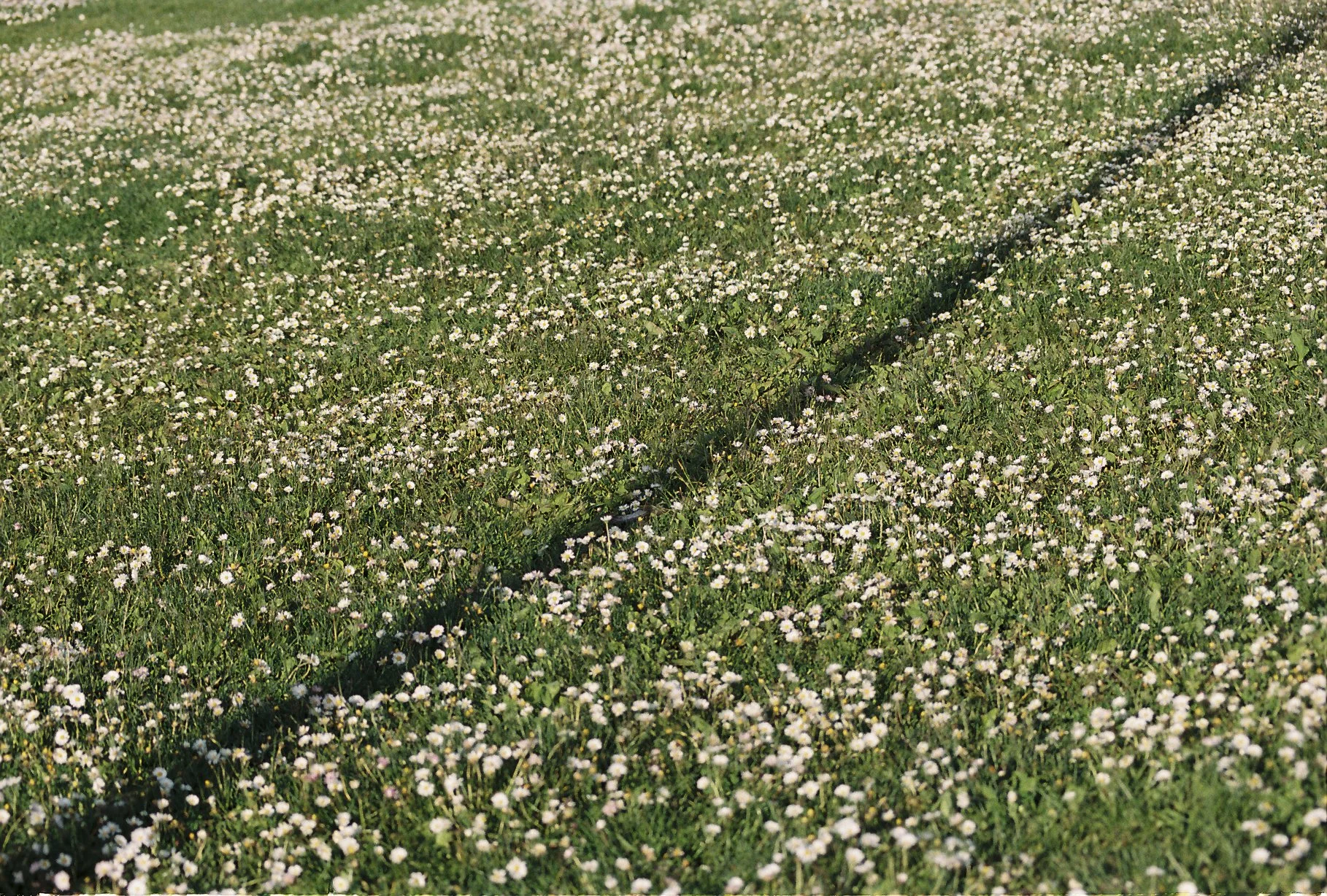 Shadow of a pole on to the grass