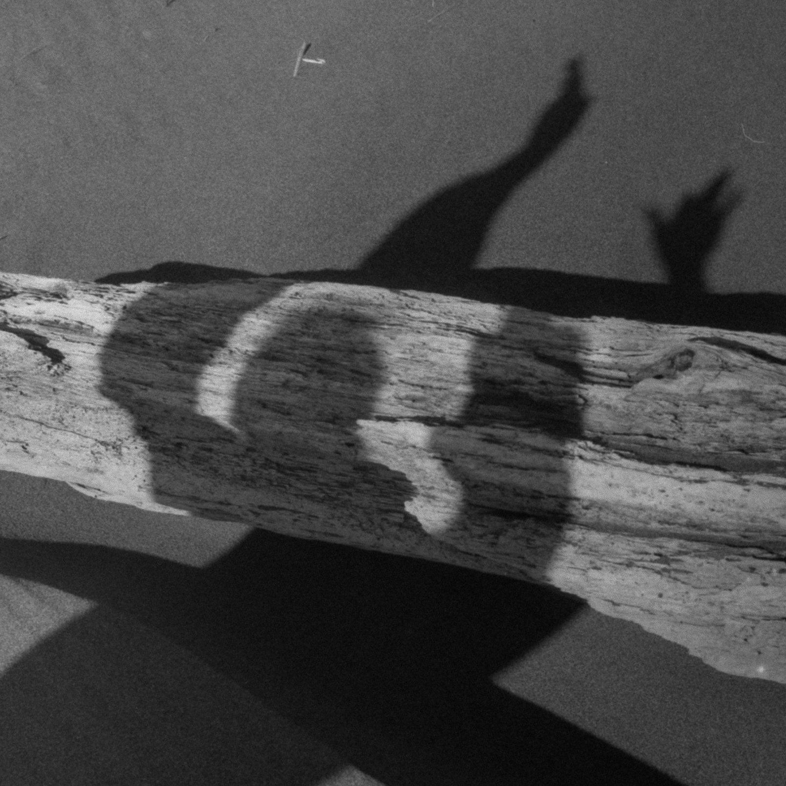 Shadow of a person onto a trunk at the beach