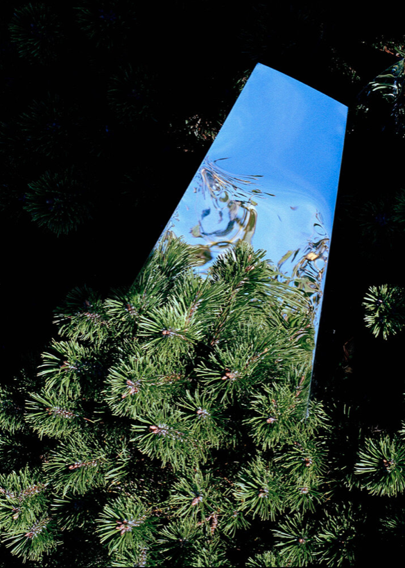 Abstract image of a reflective object in nature