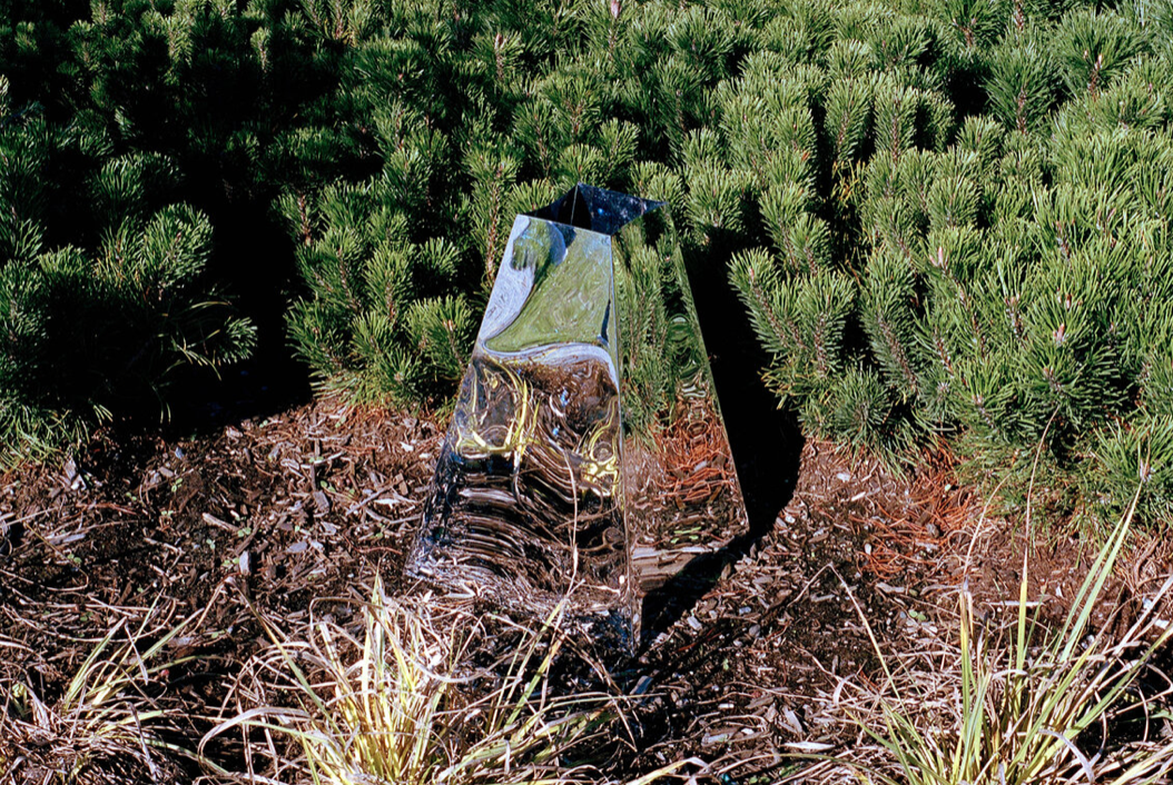 Abstract image of a reflective object in nature