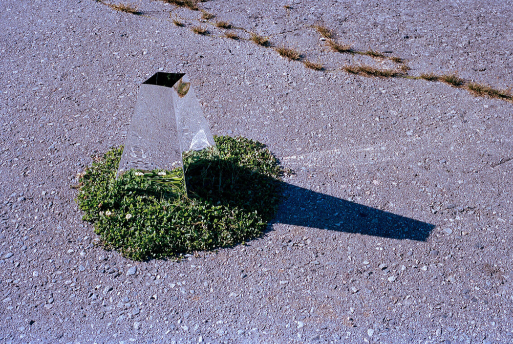 Abstract image of a reflective object in nature
