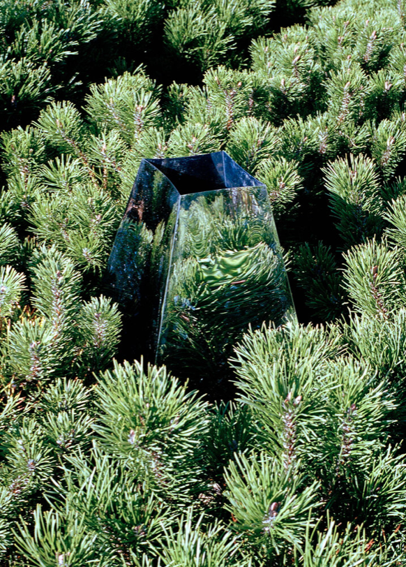Abstract image of a reflective object in nature