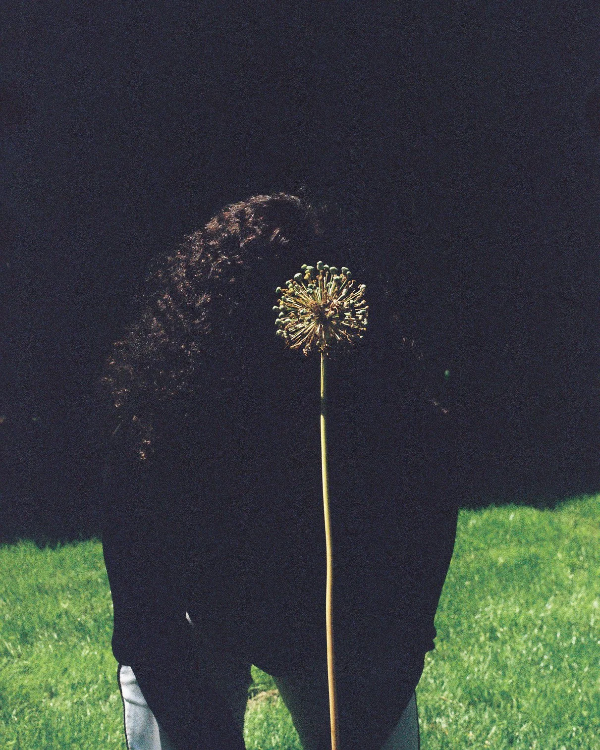 Ashley Dodd, Vancouver