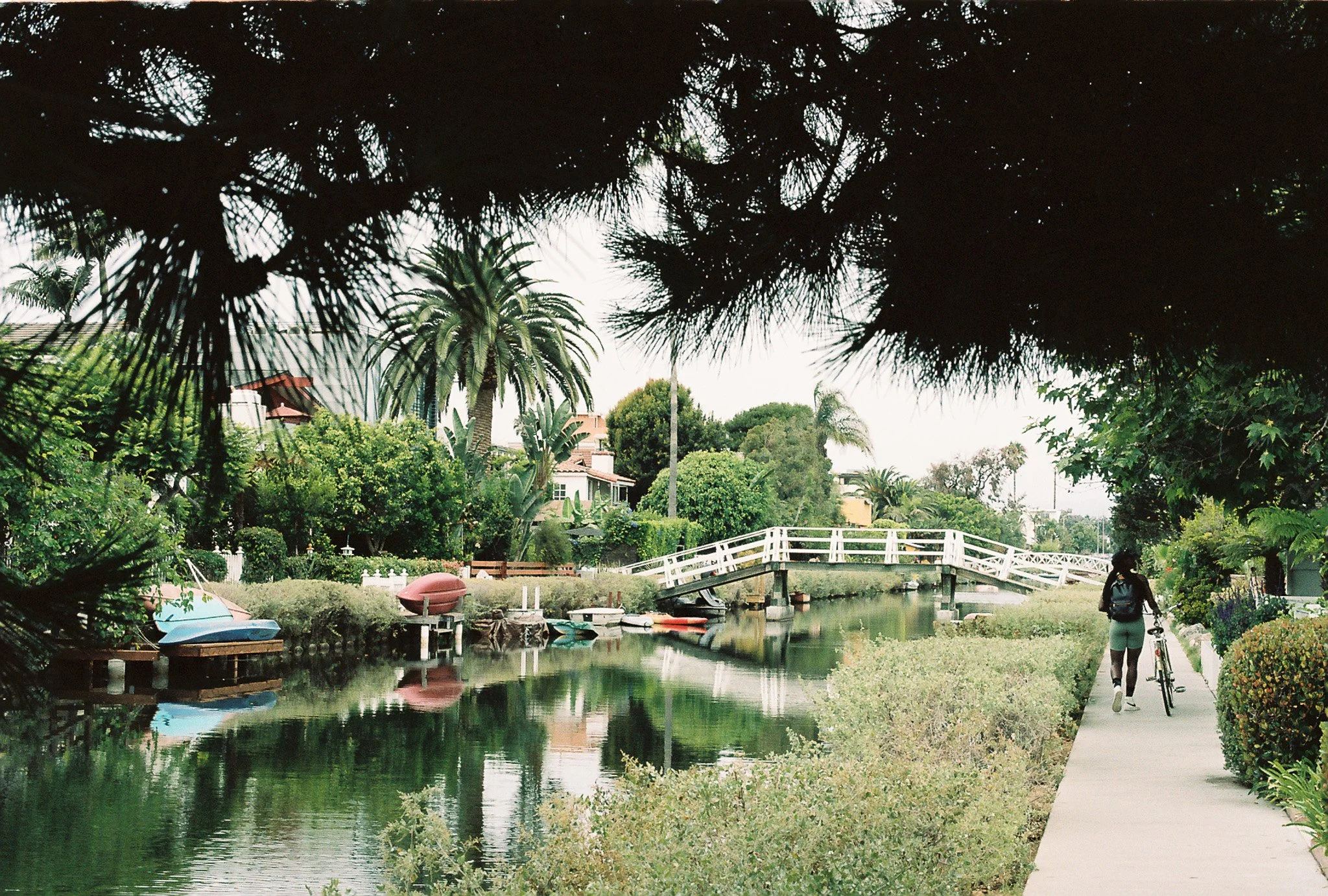 0008476_0008476-R1-014-5A.jpg