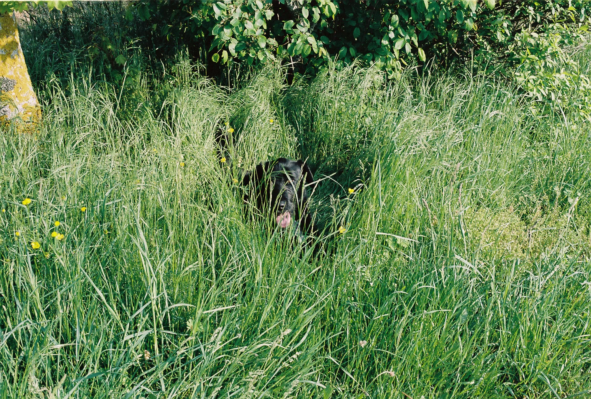 0008475_0008475-R1-015-6.jpg