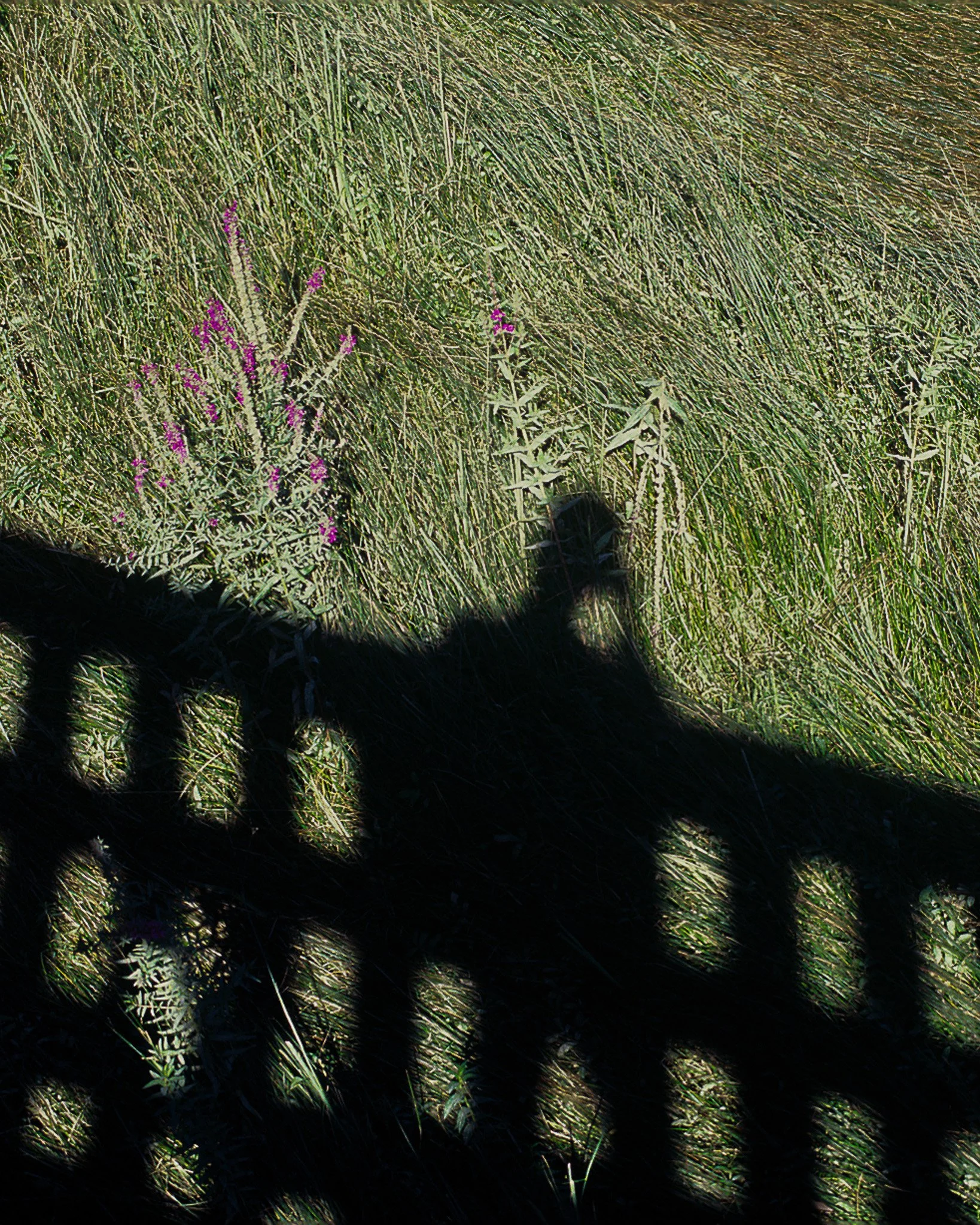 0006345_0006345-R1-E035.jpg