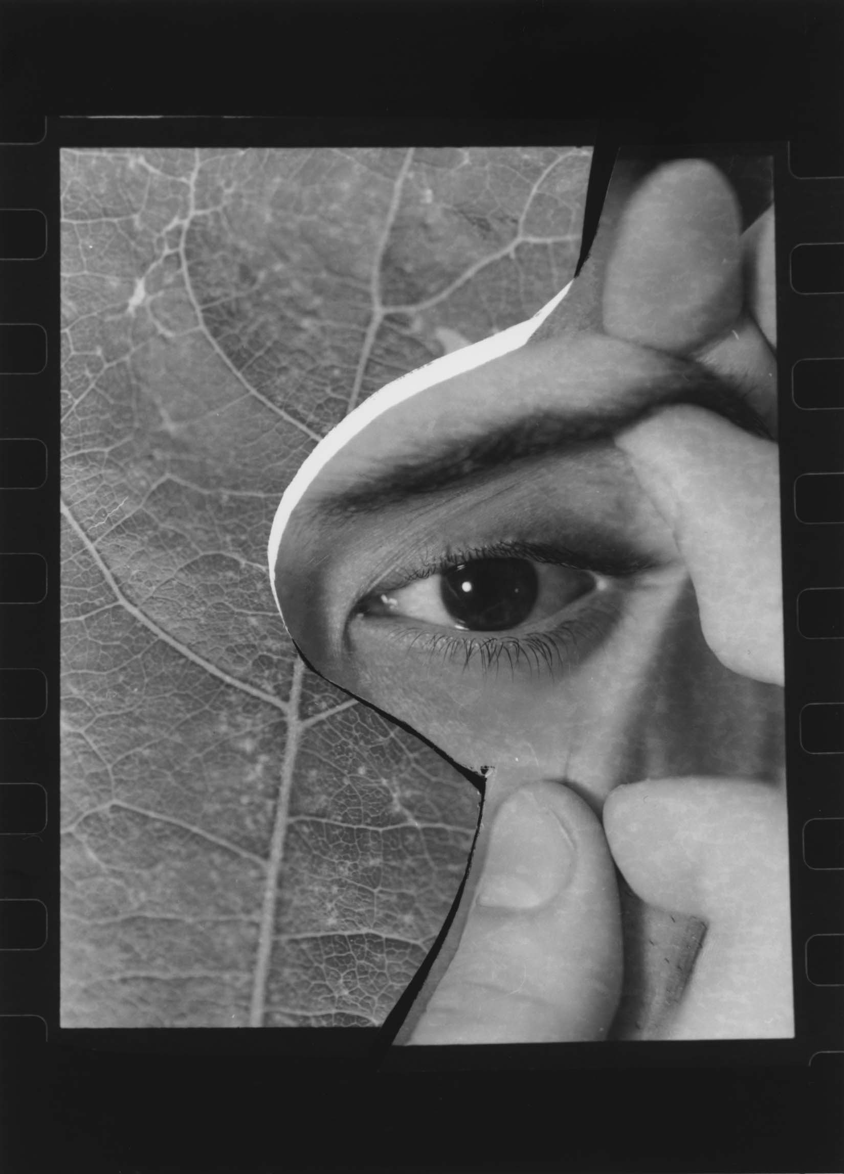Black and white image showing a close-up of an eye, part of a face, and a leaf with visible vein structure being held near the face.