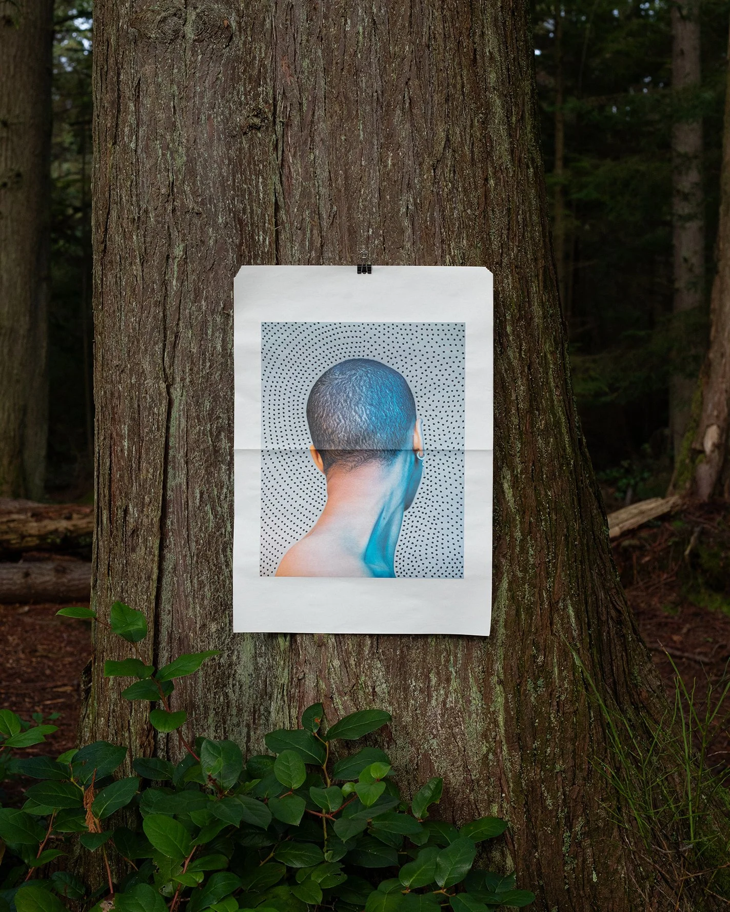 A printed picture of the back of a person's head with short curly hair, colored in shades of blue, is taped to the trunk of a large tree in a forest.