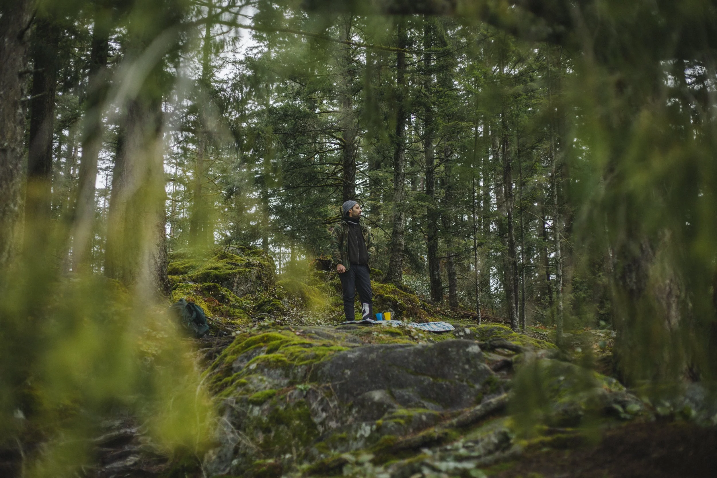 A person standing on mossy rocks in a dense forest, with tall trees and greenery, surrounded by moss-covered stones and forest floor.