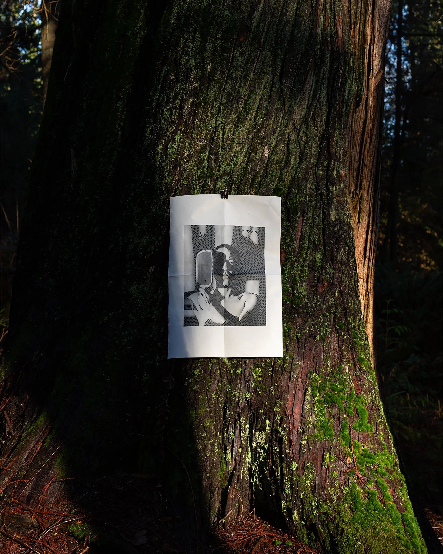 A tree trunk with textured bark and green moss, with a piece of paperattached to it, held in place by a small black clip, in a forest setting.