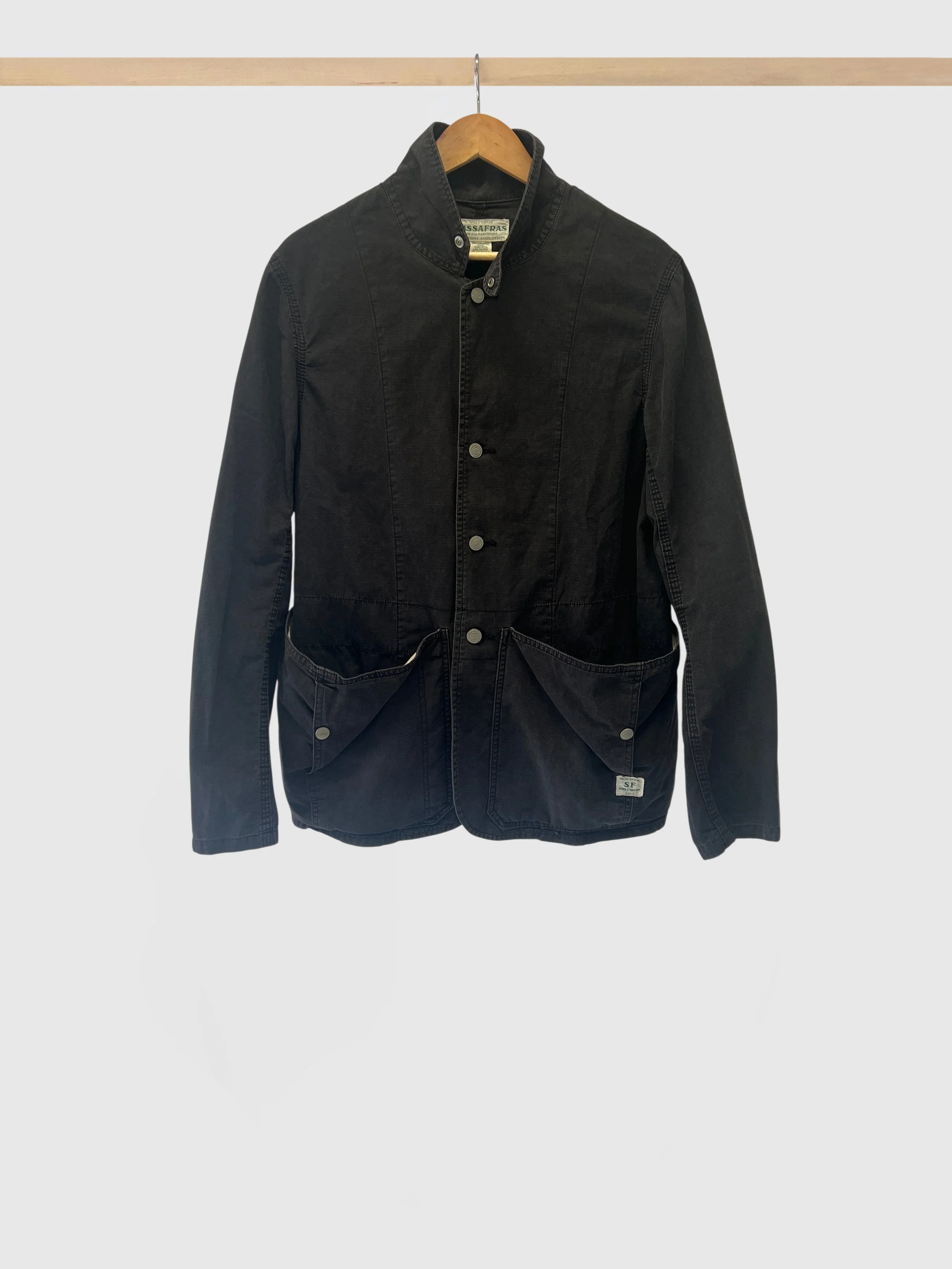 Sassafras (SOLD)