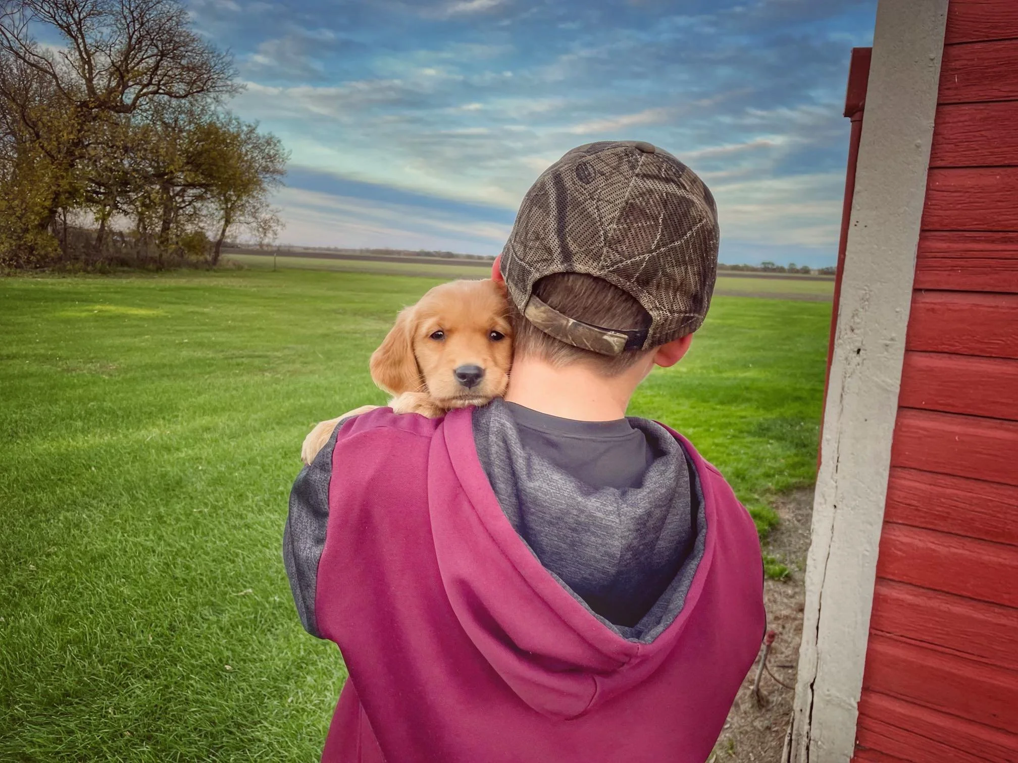 A young boy with a camouflage baseball cap is holding a small golden retriever puppy close to his face outside. The background shows a grassy field, some trees, and a partly cloudy sky. The boy is wearing a maroon and gray hoodie.
