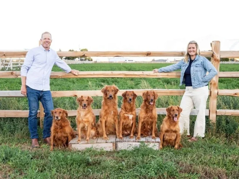 A man and woman standing outdoors behind a wooden fence with seven golden retrievers sitting on a stone platform in front of them.