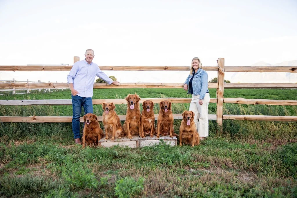 A man and woman posing with six golden retrievers outdoors in front of a wooden fence, on a grassy field with a clear sky.