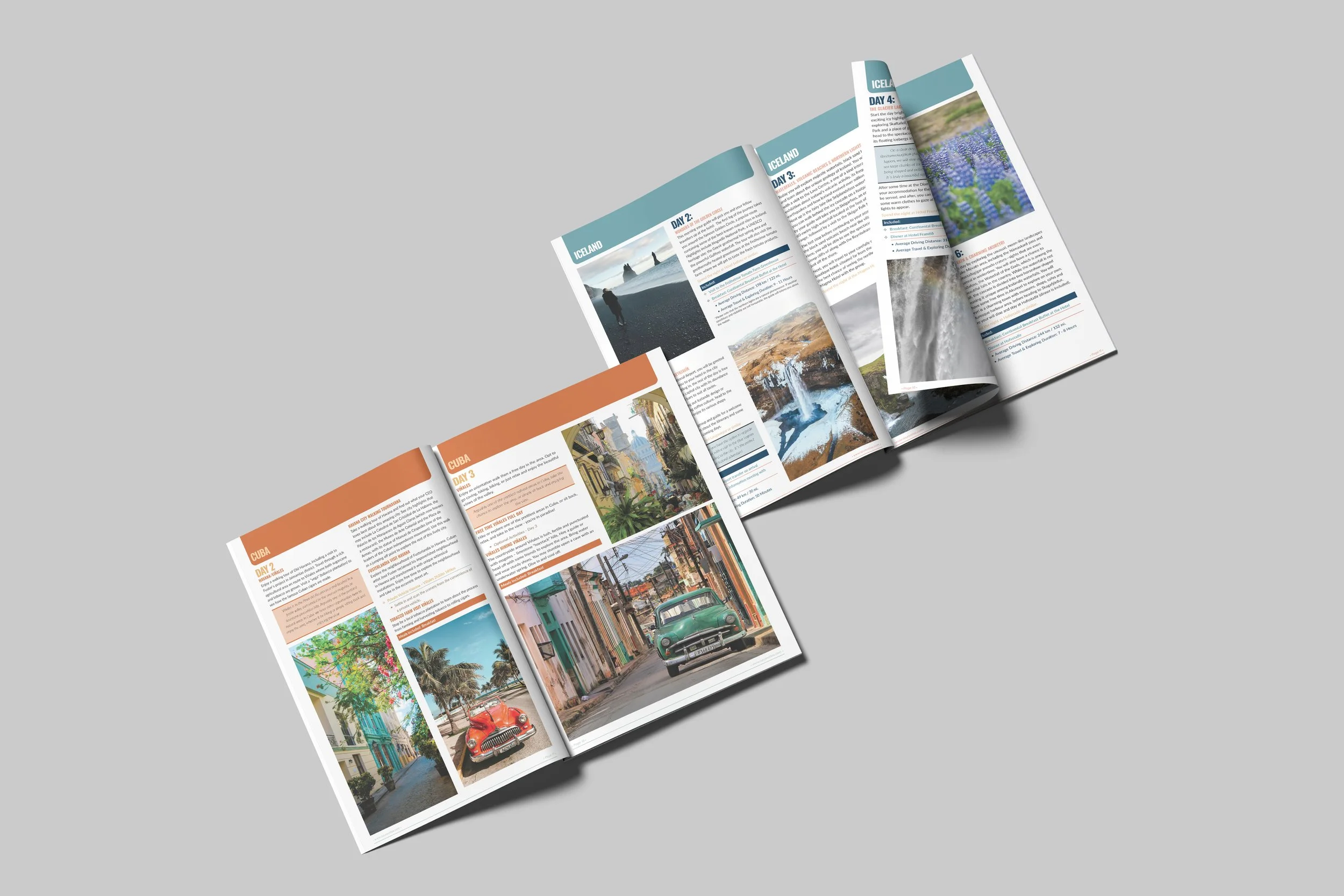Travel Brochure