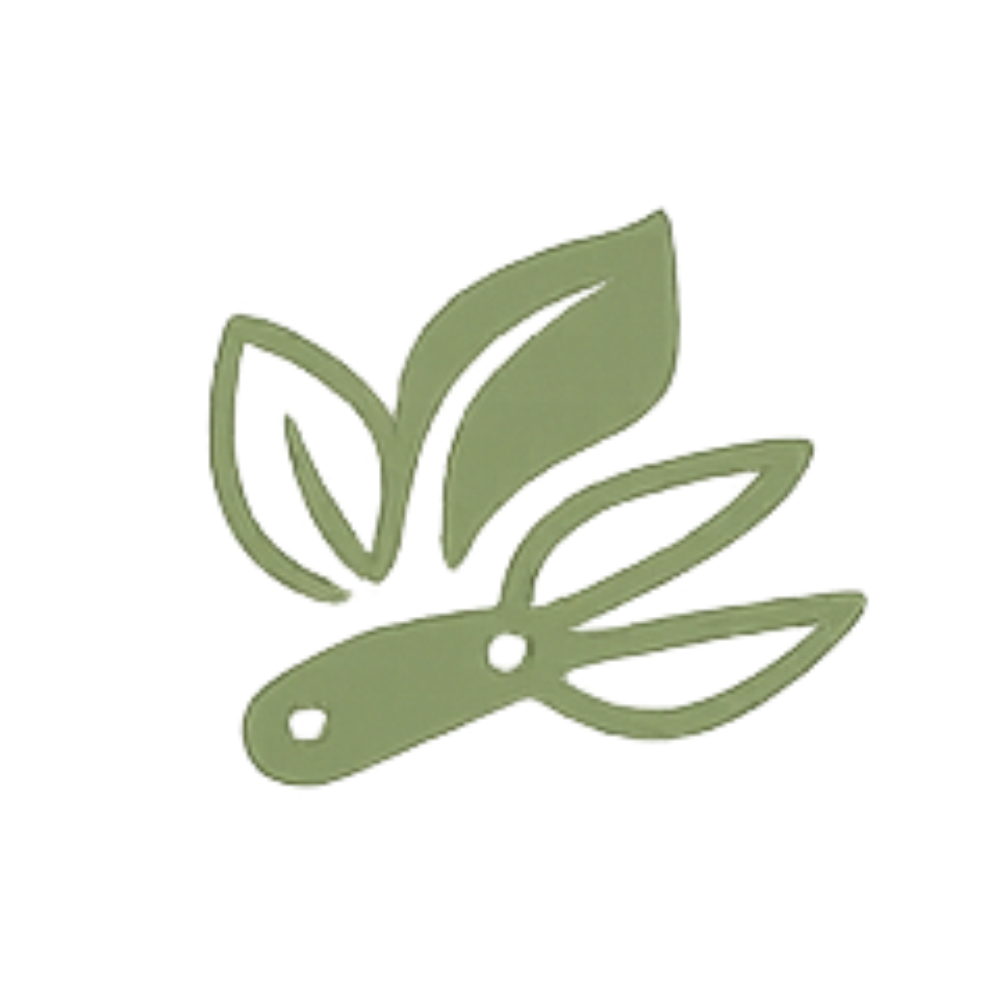 Illustration of a stylized, abstract green plant with rounded leaves.