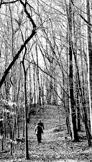 Winter walk in woods.png