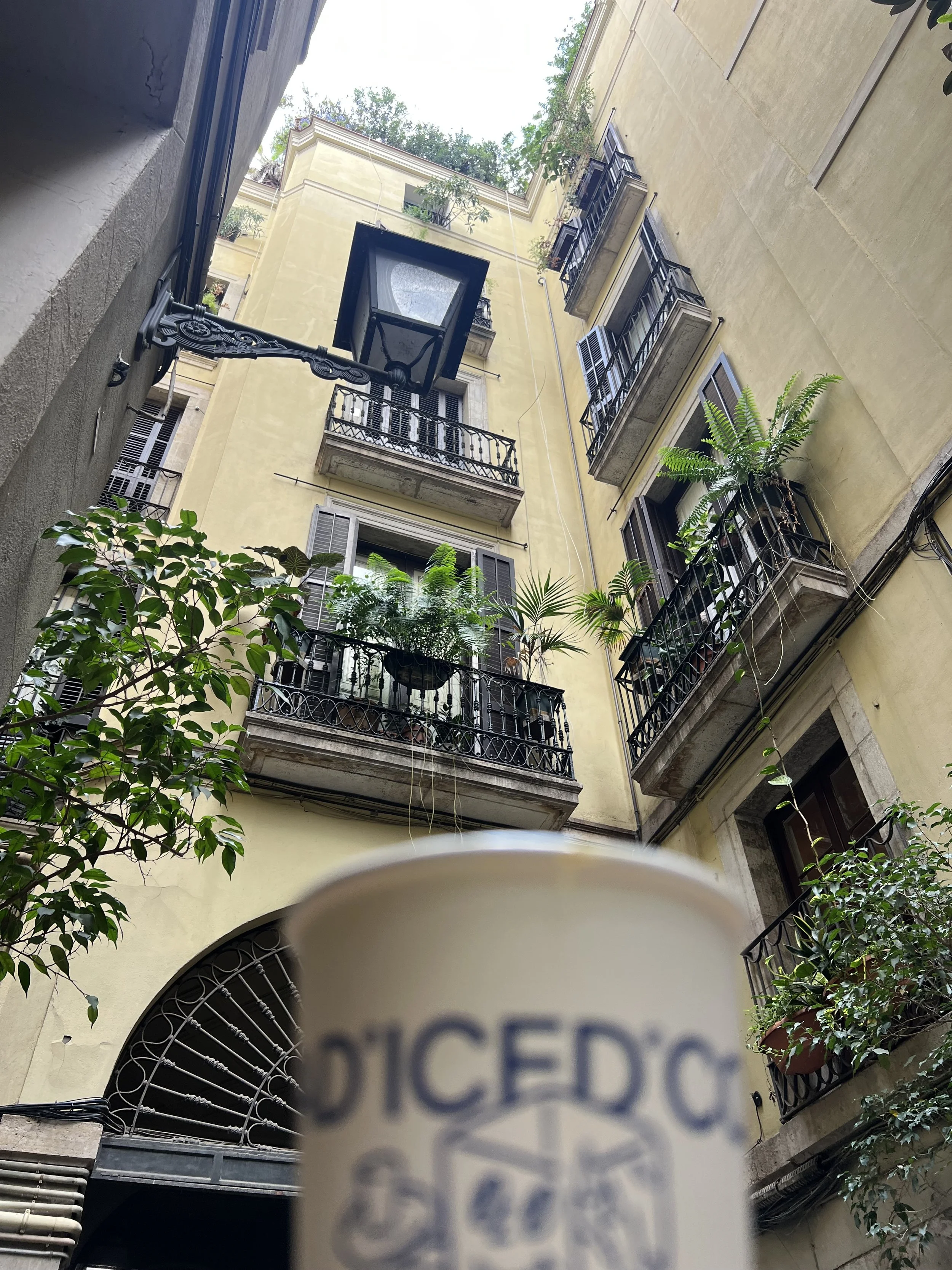 IMG_3760.jpeg